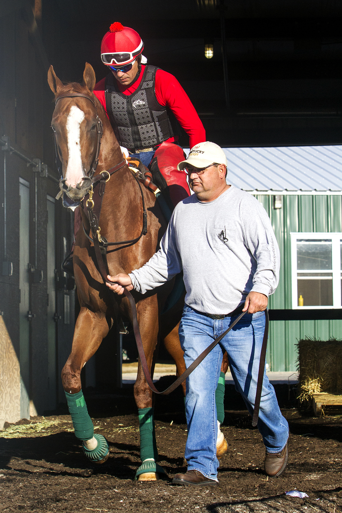 California Chrome at Parx Racing on Sept. 17