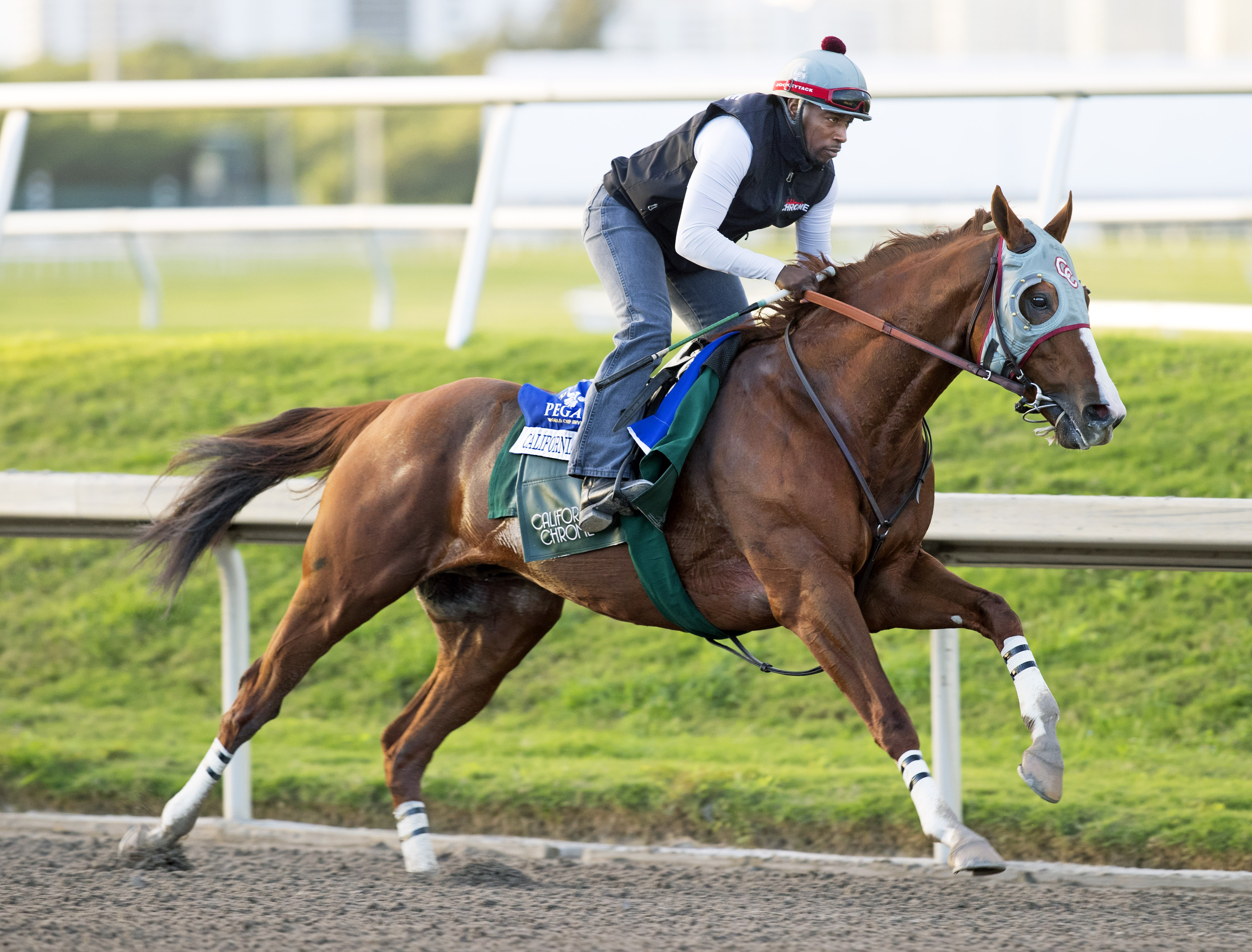 California Chrome