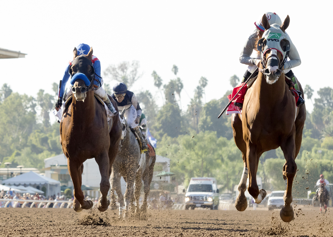 California Chrome wins the Awesome Again Stakes