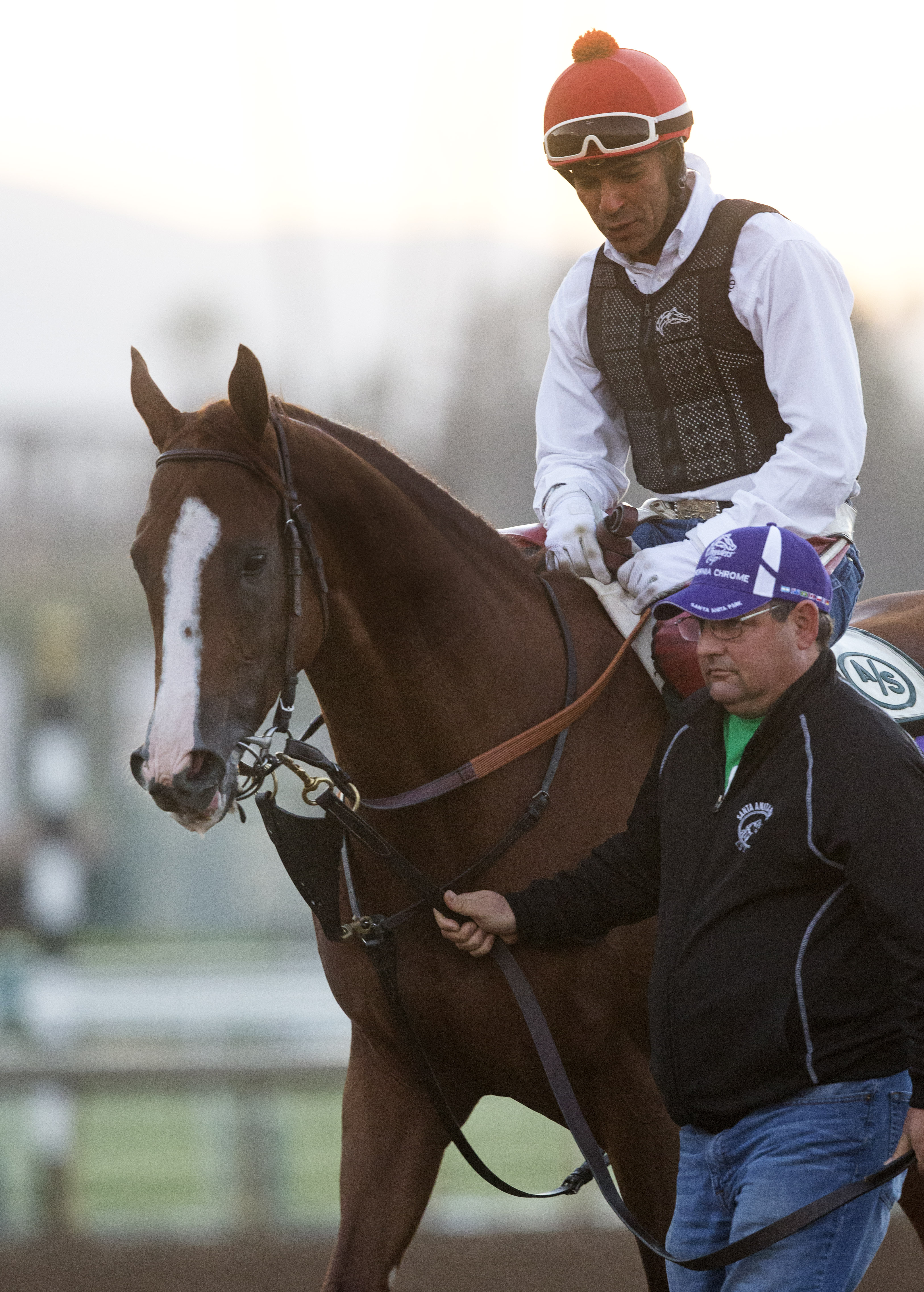 California Chrome with Alan Sherman at Santa Anita