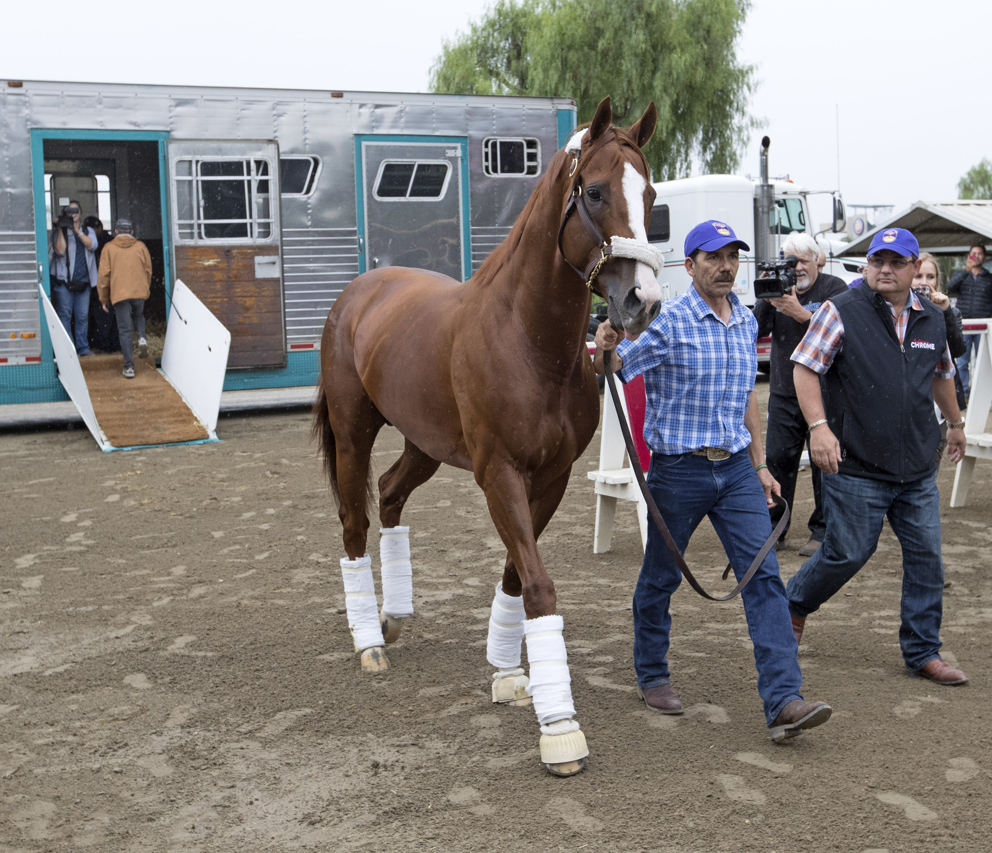 California Chrome arrives at Santa Anita