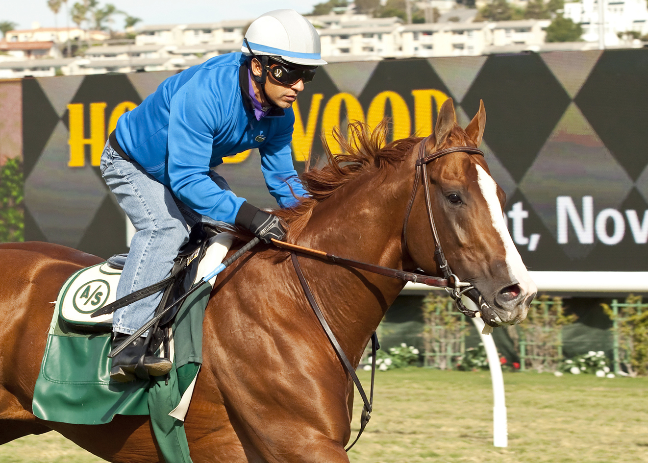 California Chrome training at Del Mar