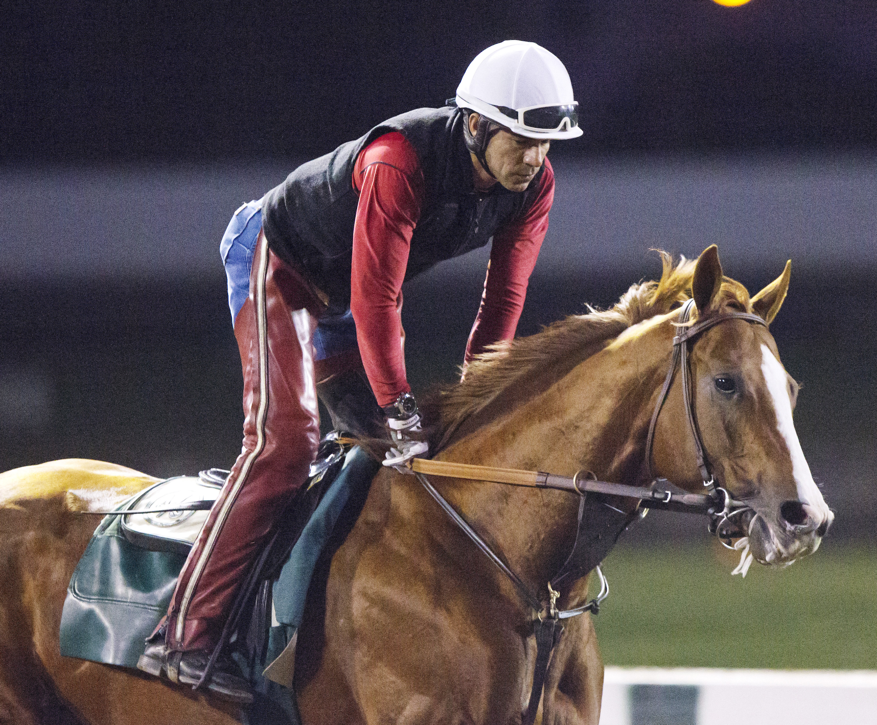 California Chrome at Los Alamitos on Feb. 17