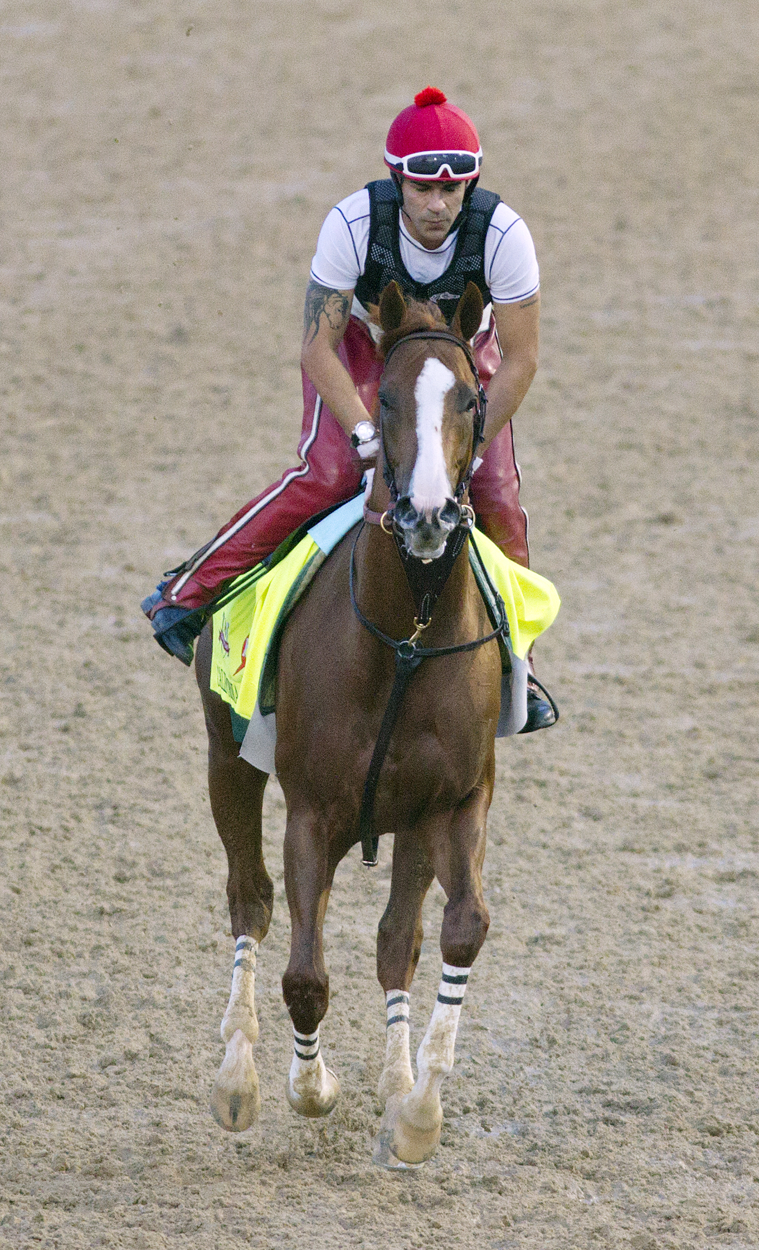 California Chrome trains on April 30 vertical