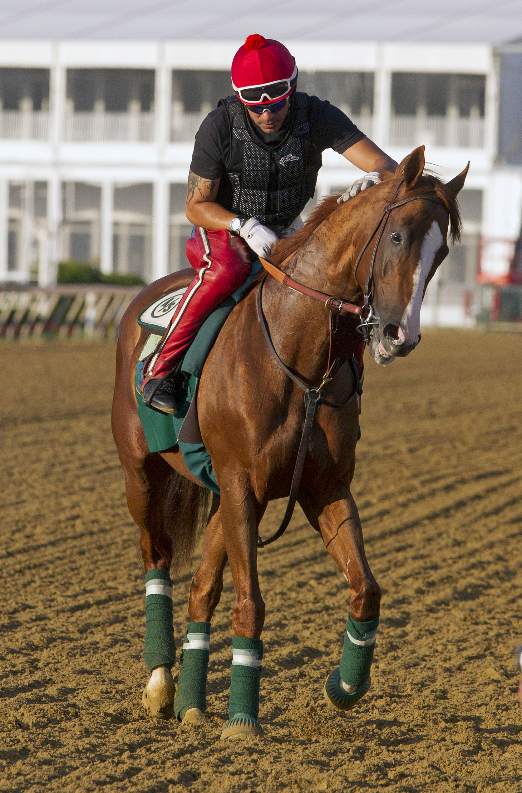 California Chrome and Willie Delgado on May 13 at Pimlico