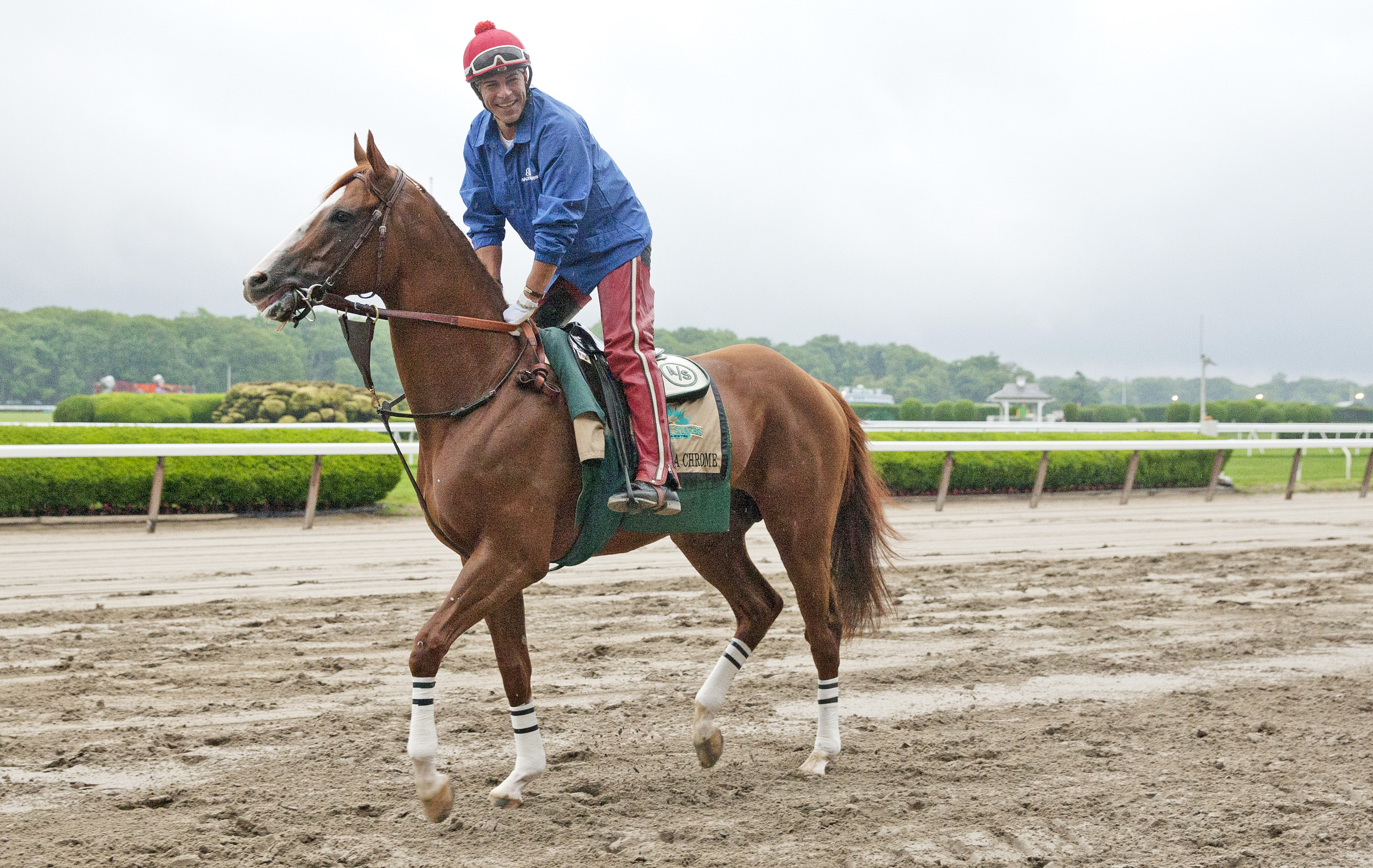 California Chrome on June 5