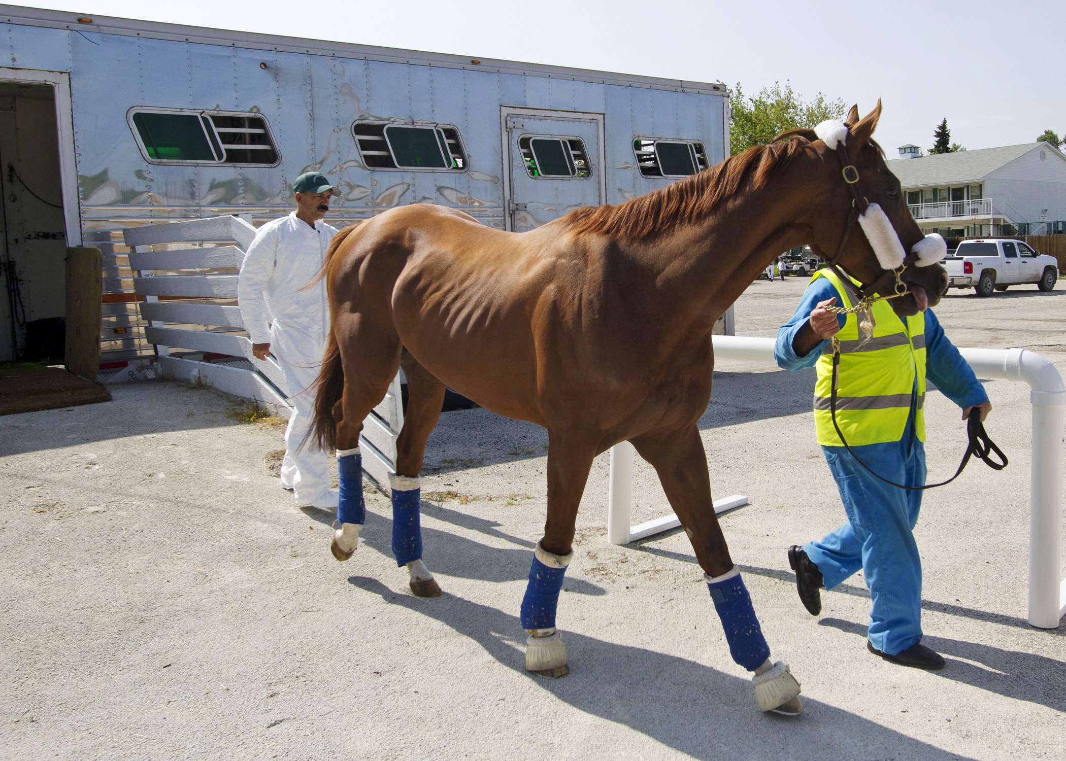 California Chrome arrives at Arlington International