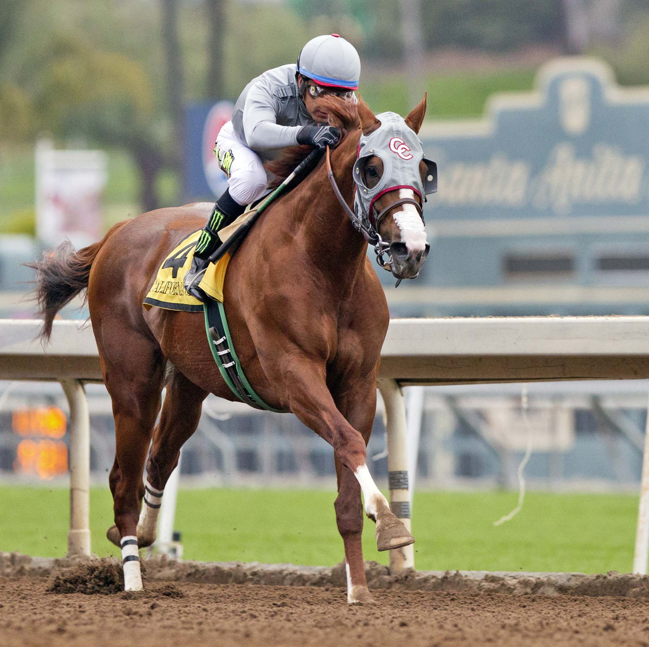 California Chrome wins the San Pasqual