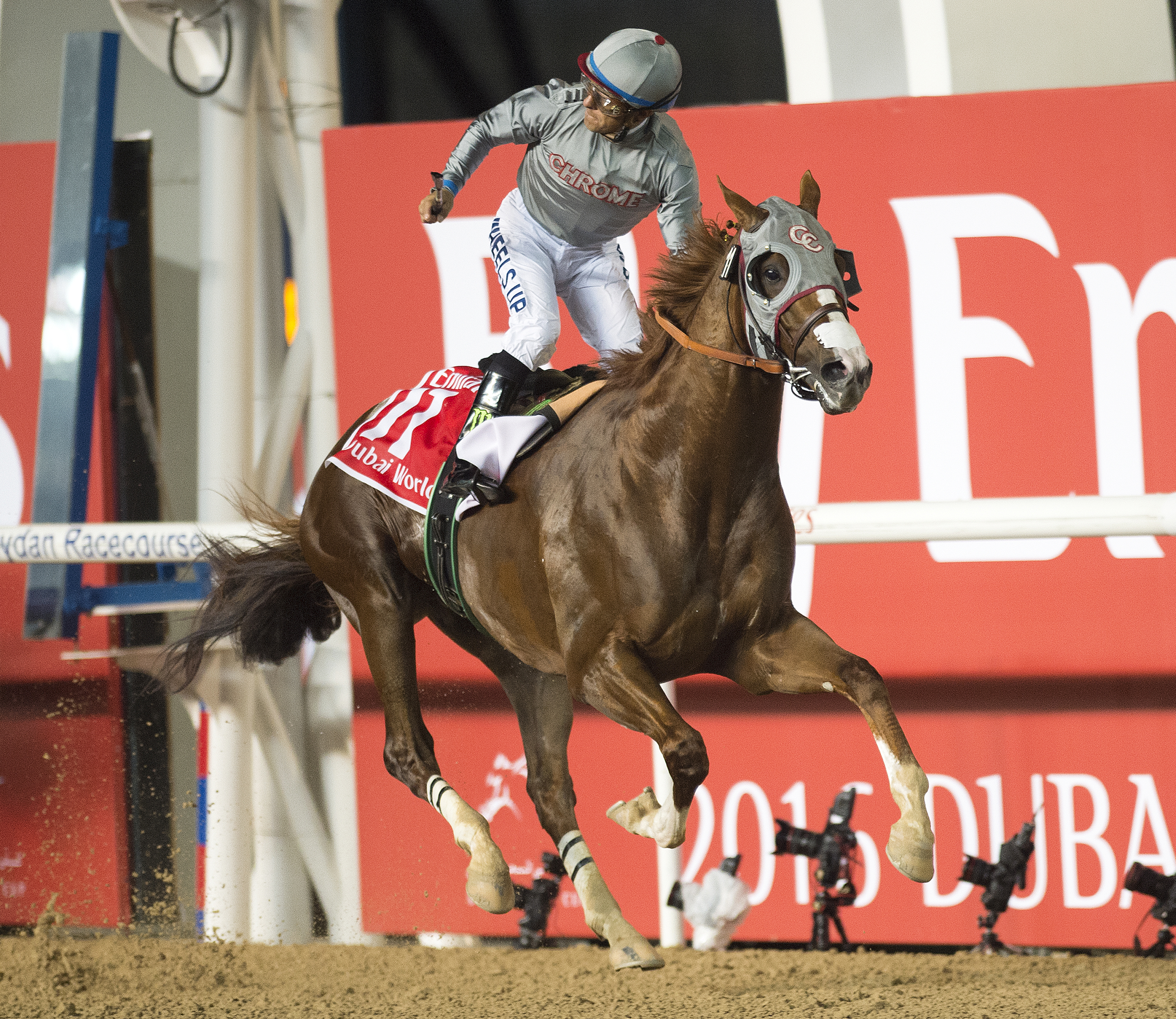 California Chrome wins the Dubai World Cup.