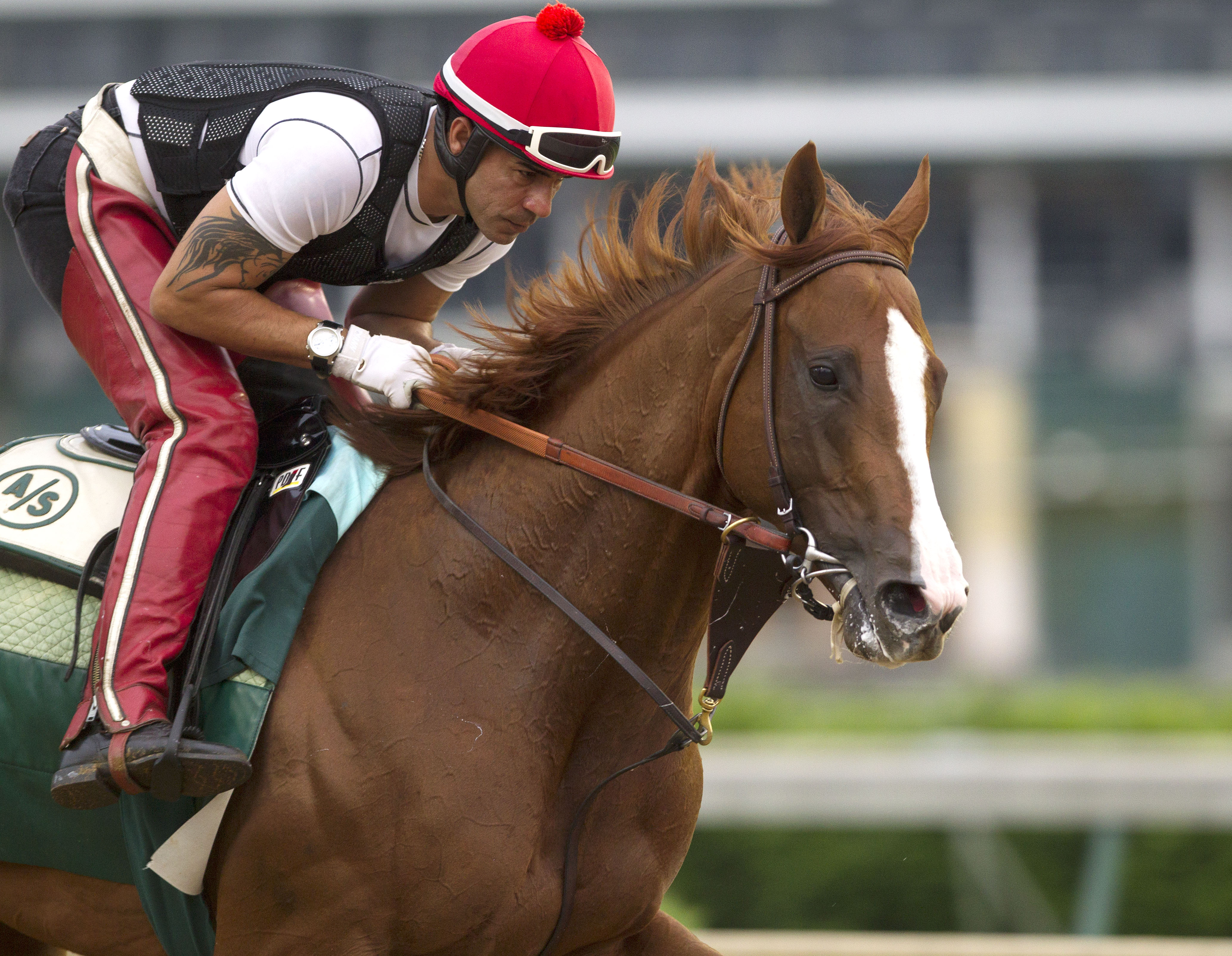 California Chrome gallops at Churchill on May 9