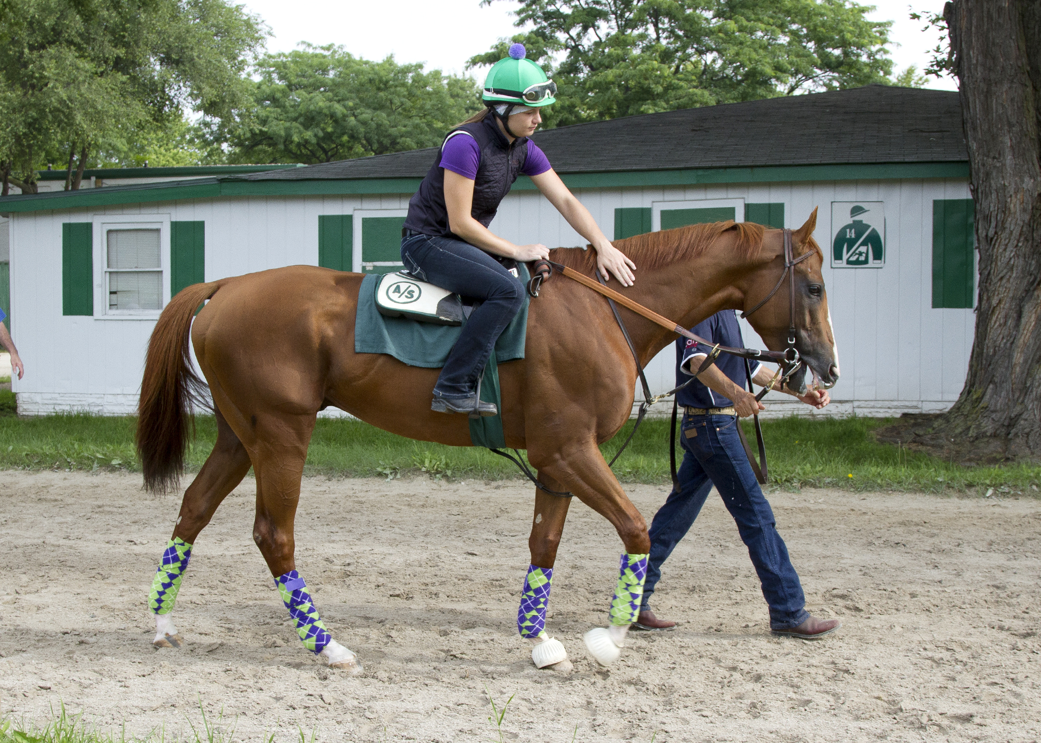 California Chrome at Arlington Park in July