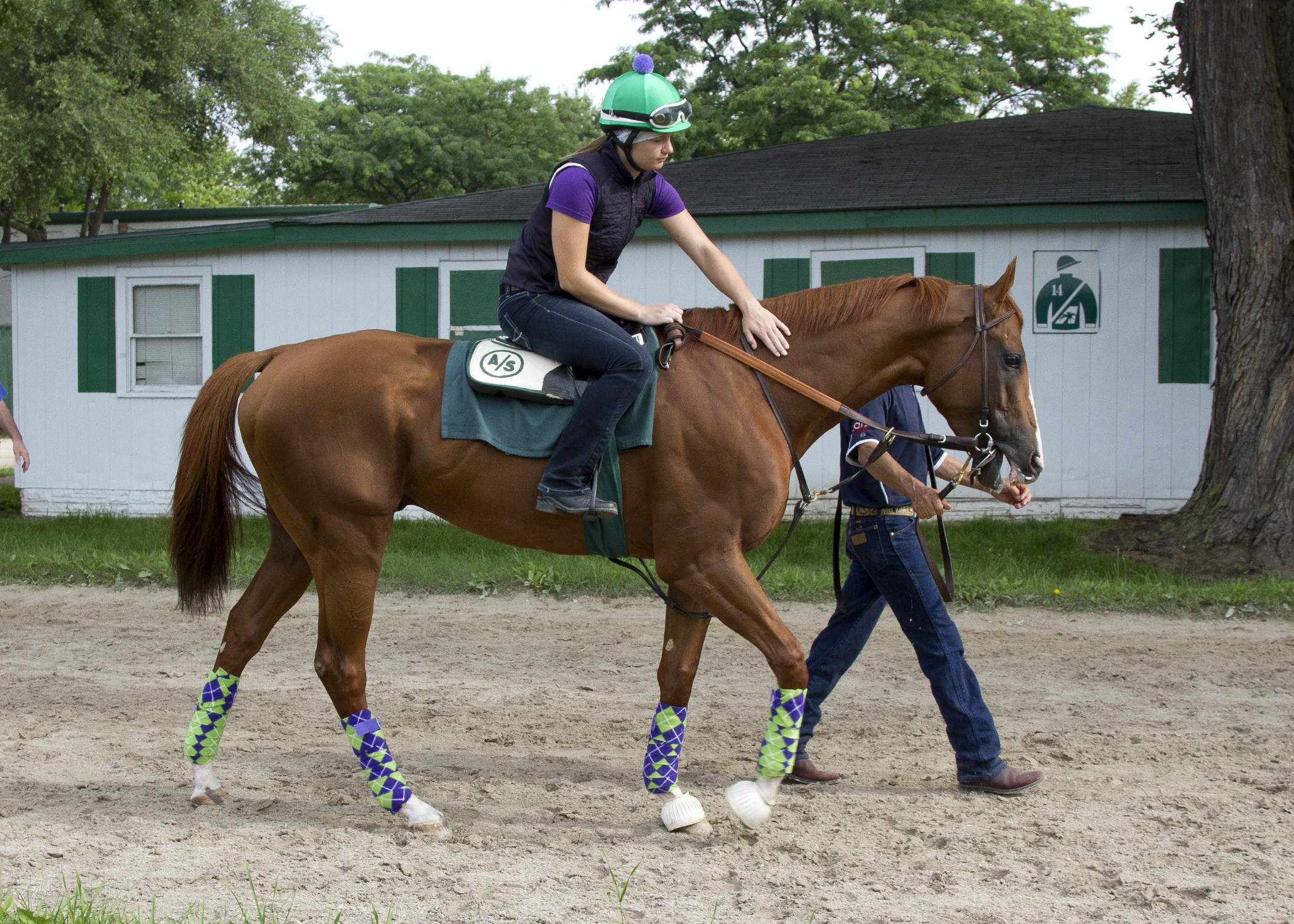 California Chrome