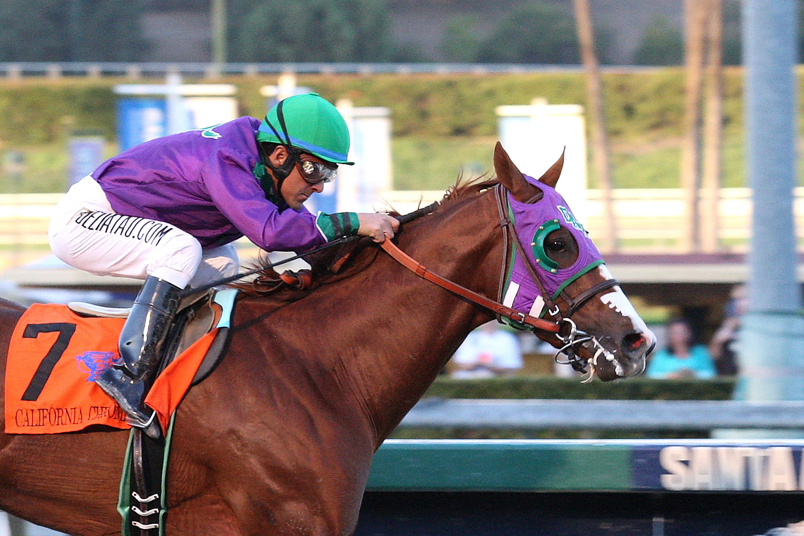 California Chrome wins the California Cup Derby