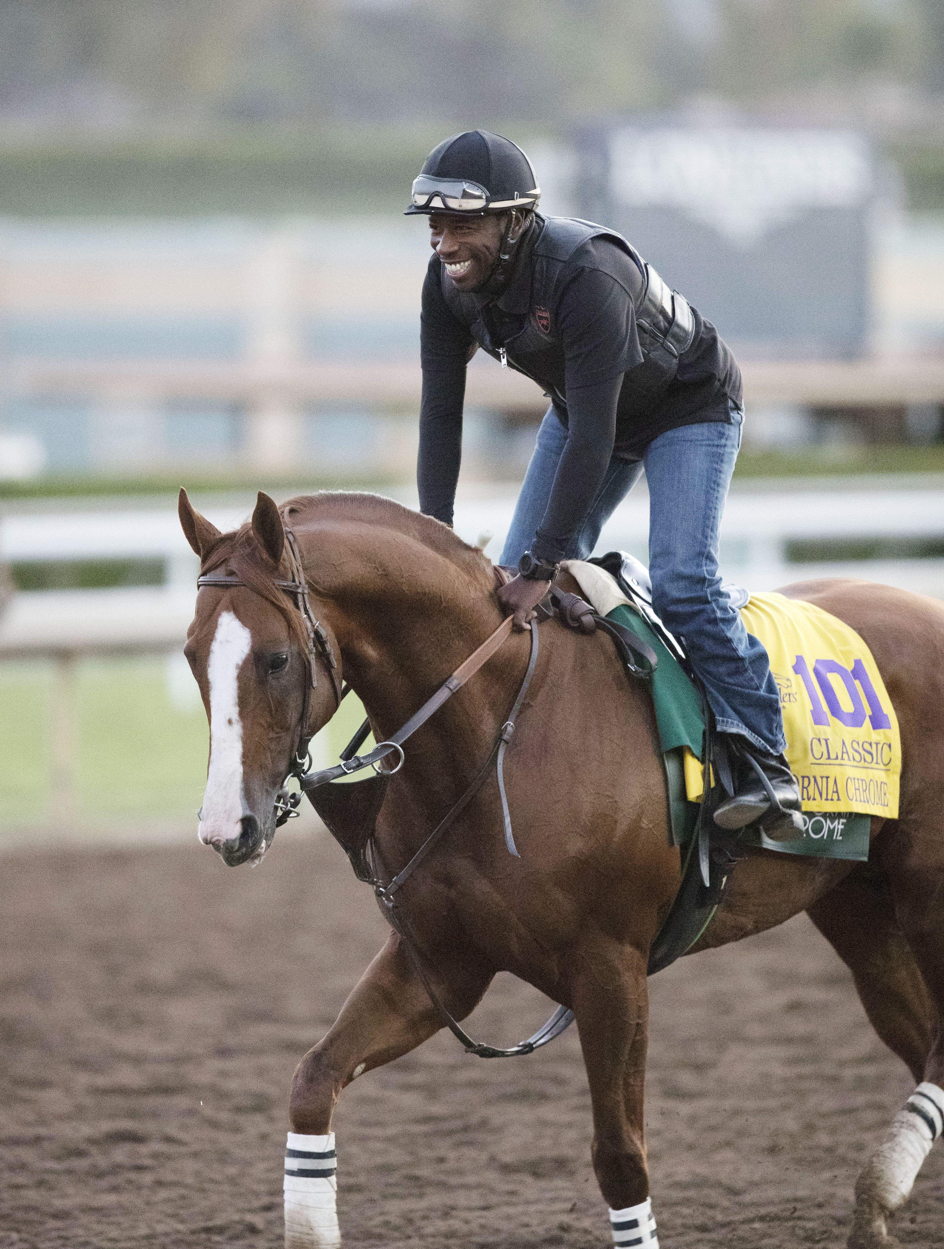 California Chrome at Santa Anita on Nov. 3