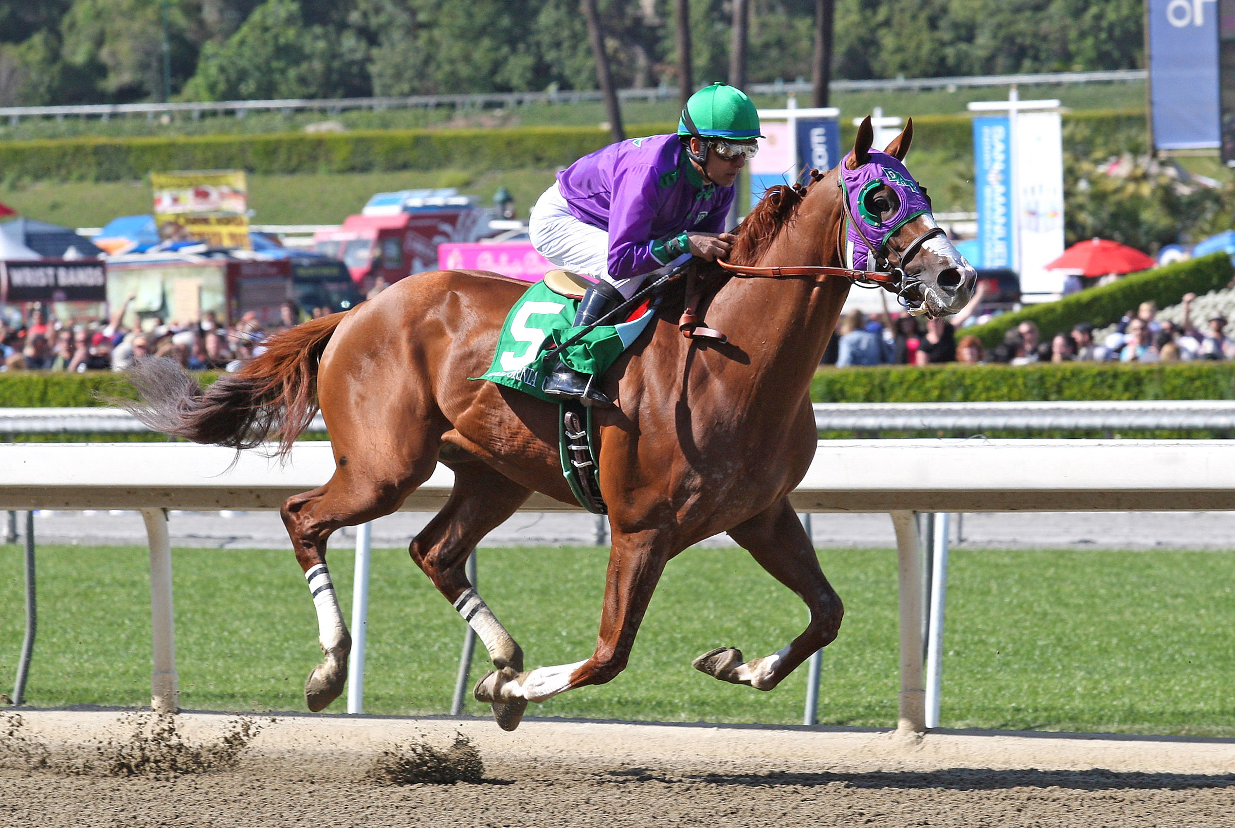 California Chrome wins the Santa Anita Derby