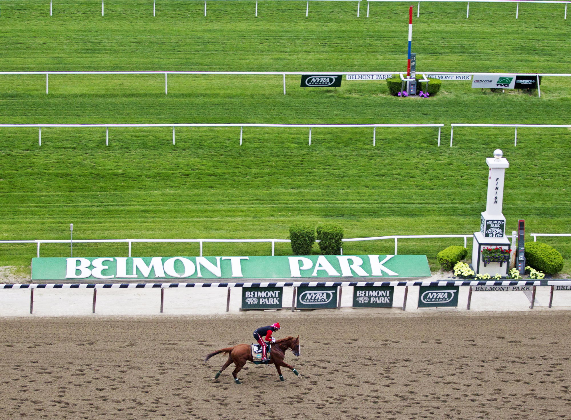 California Chrome trains at Belmont Park