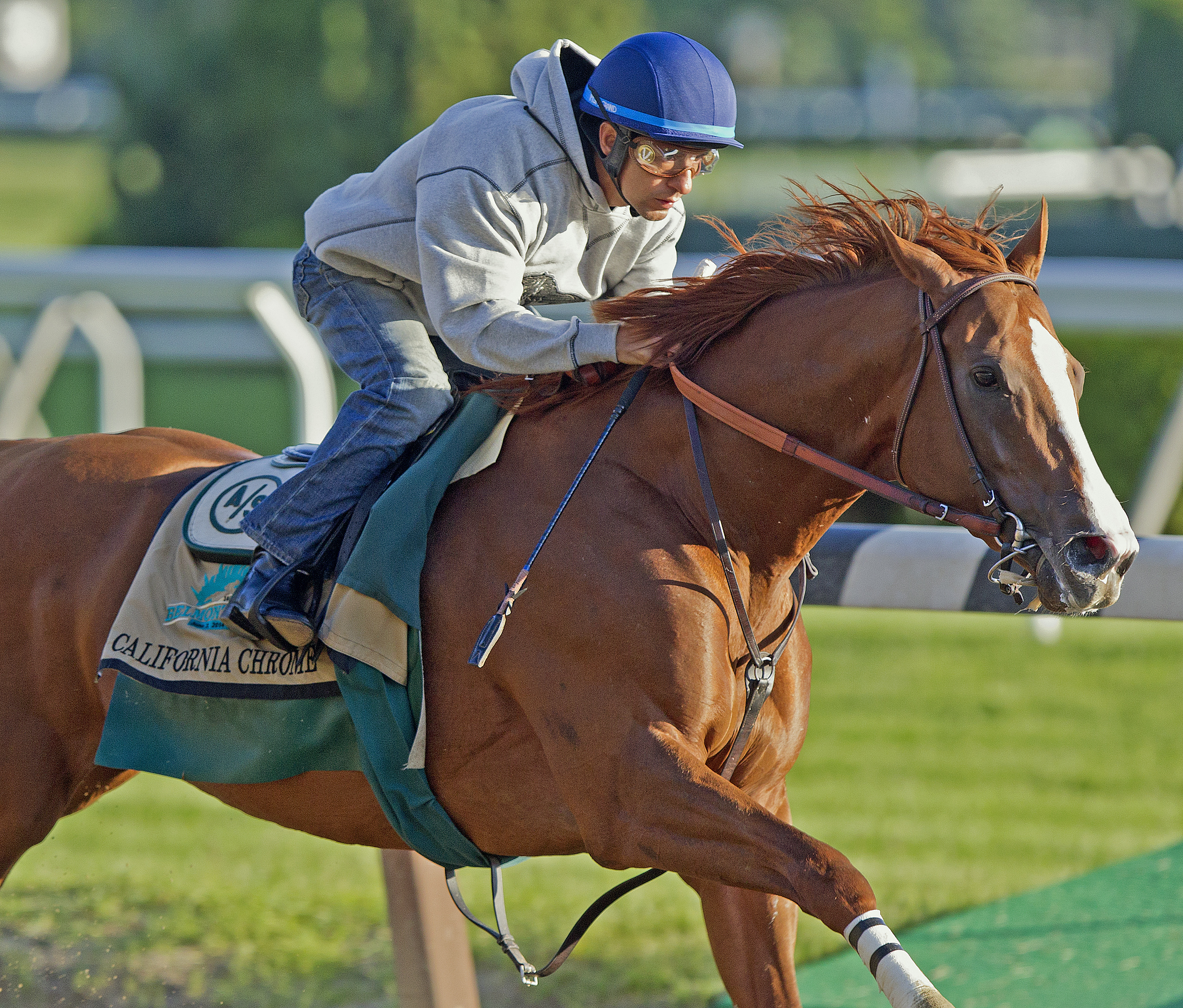 California Chrome