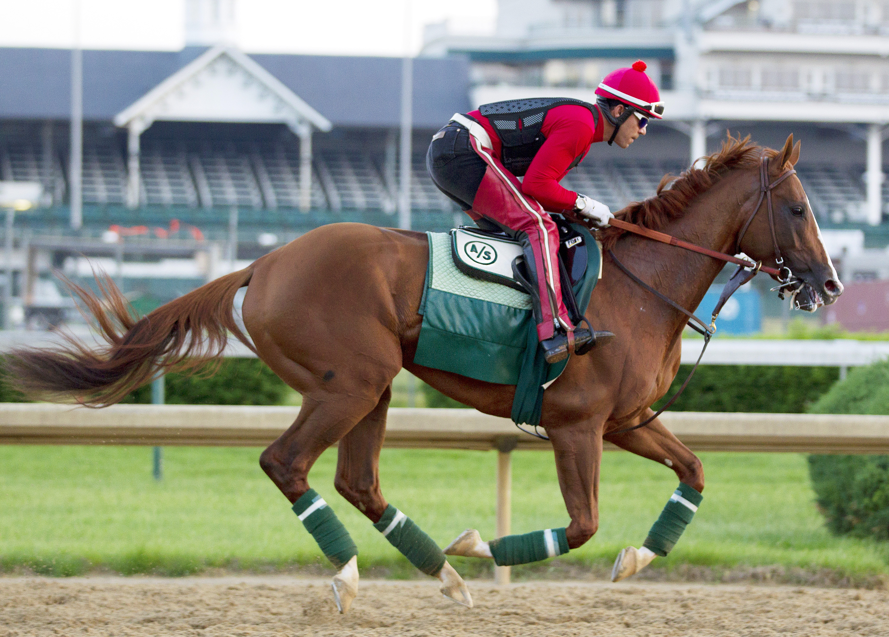California Chrome gallops May 8