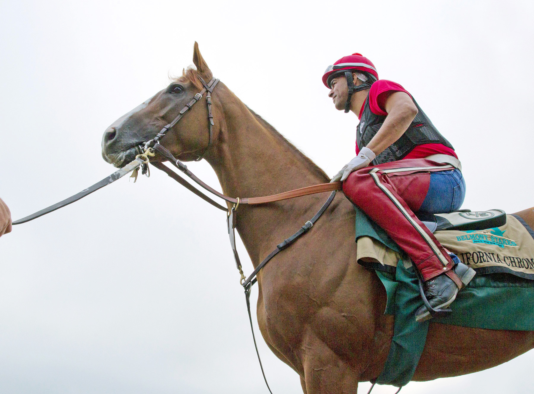 California Chrome