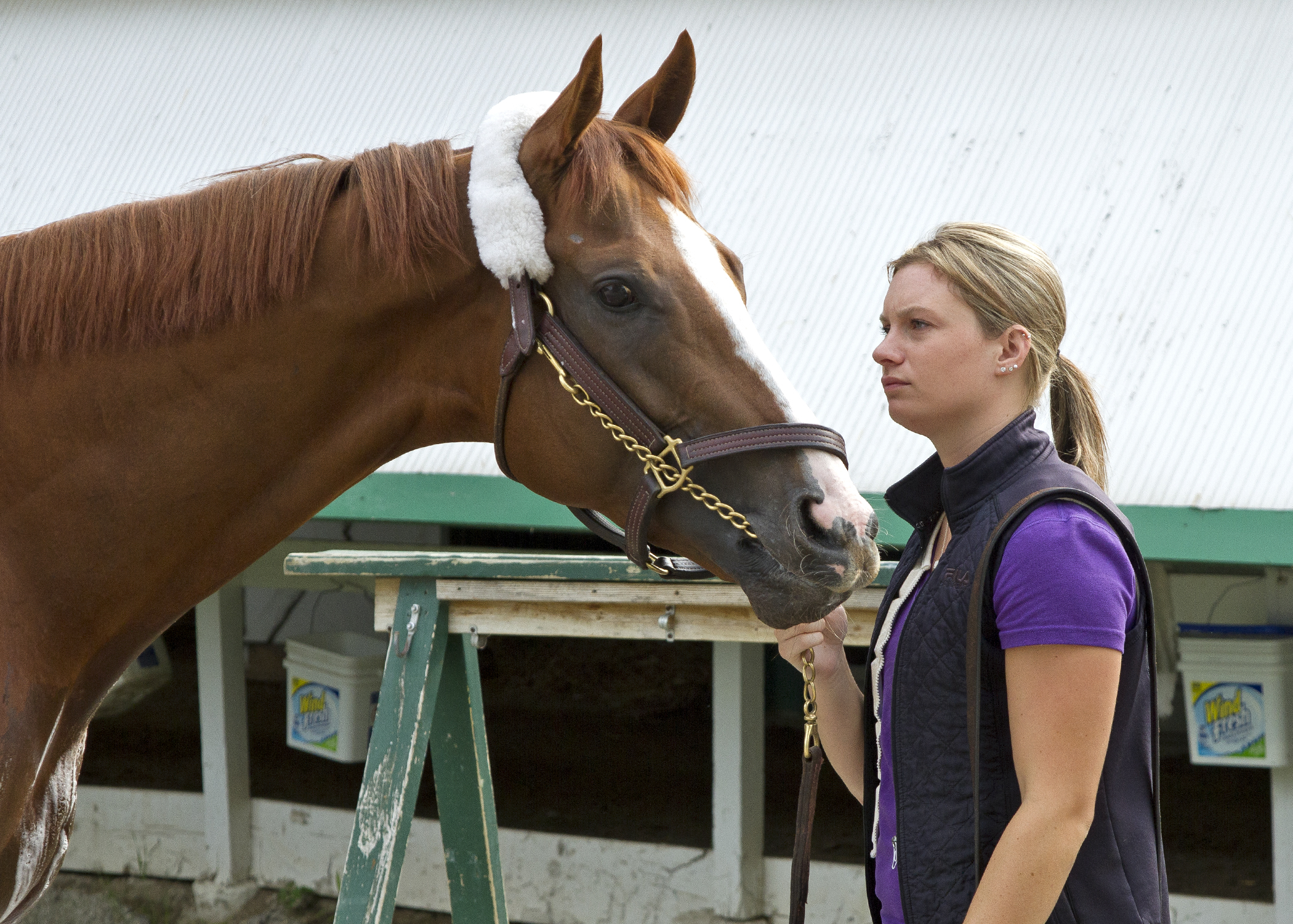 California Chrome