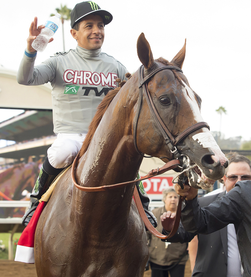 California Chrome after the Pacific Classic