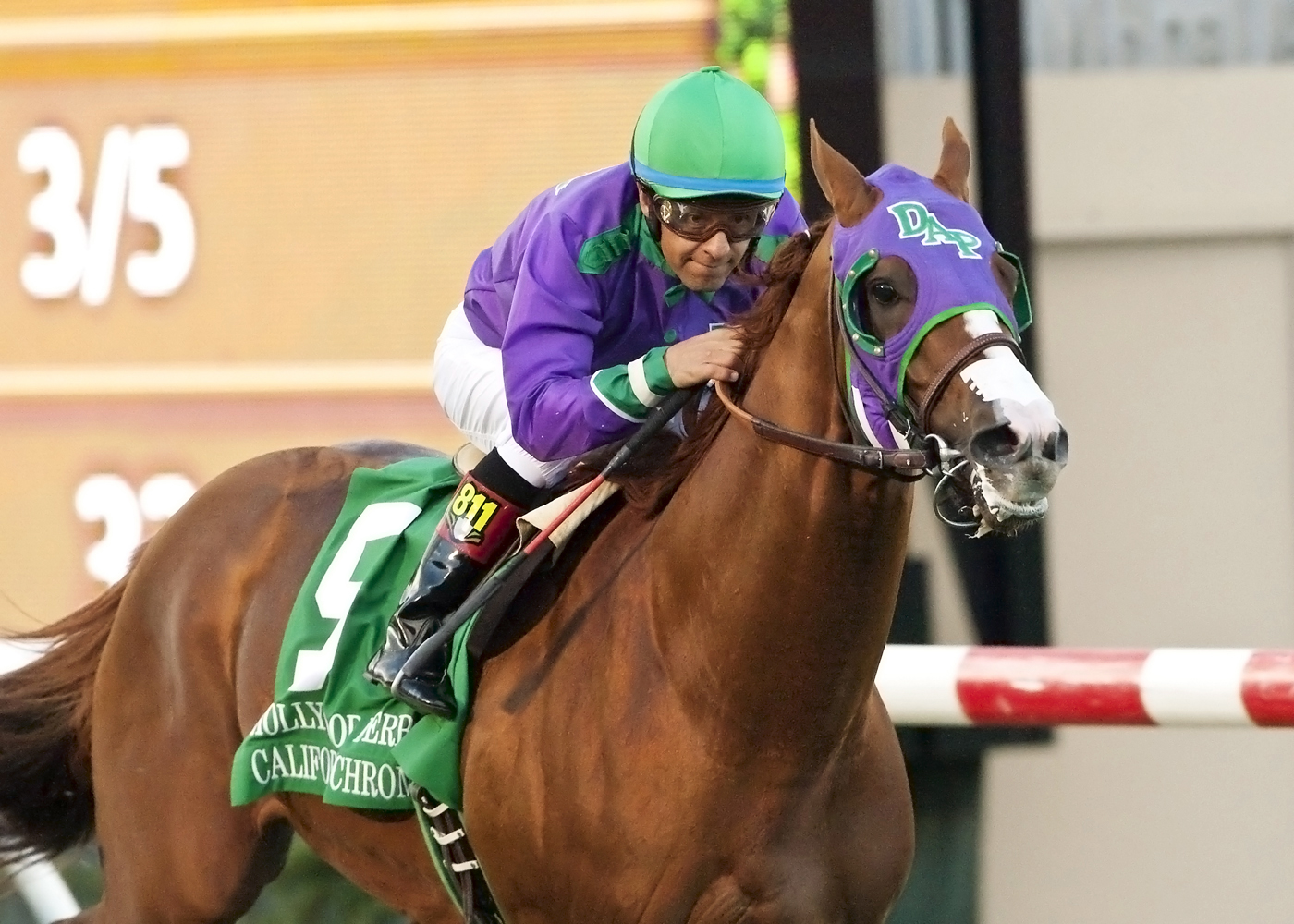 California Chrome wins the Hollywood Derby