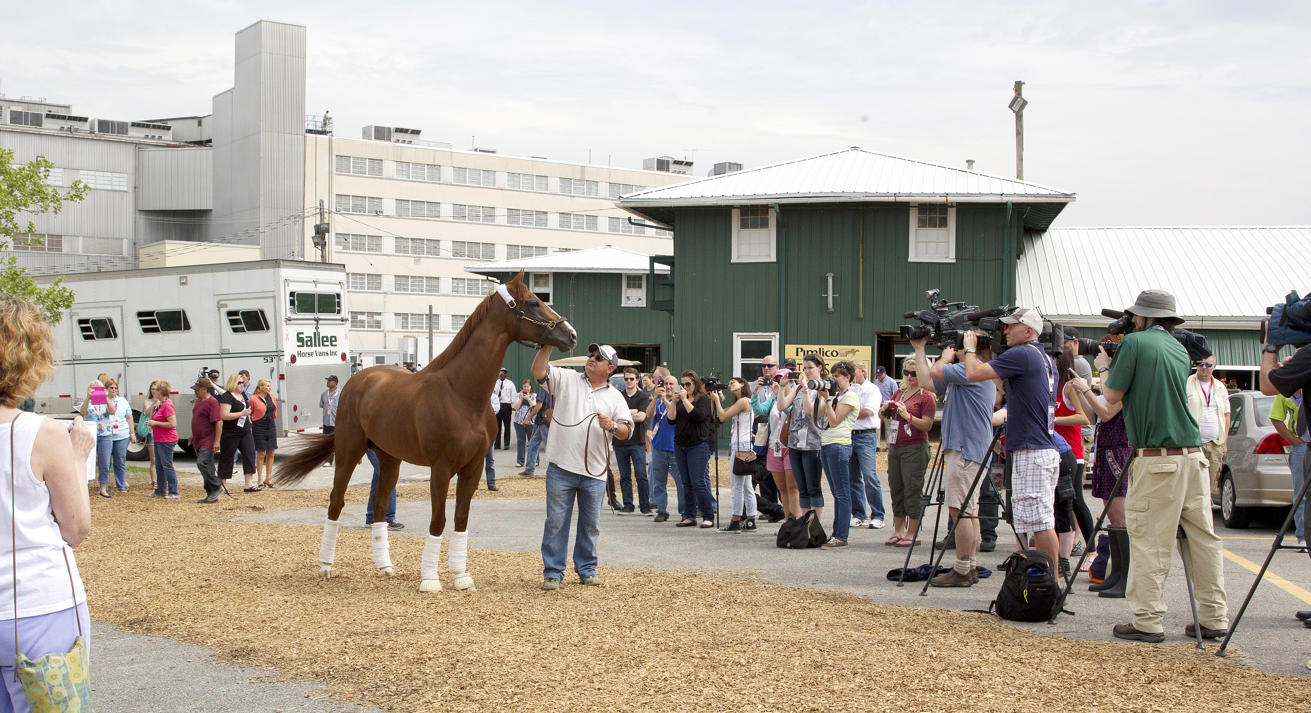 California Chrome arrives to media throng
