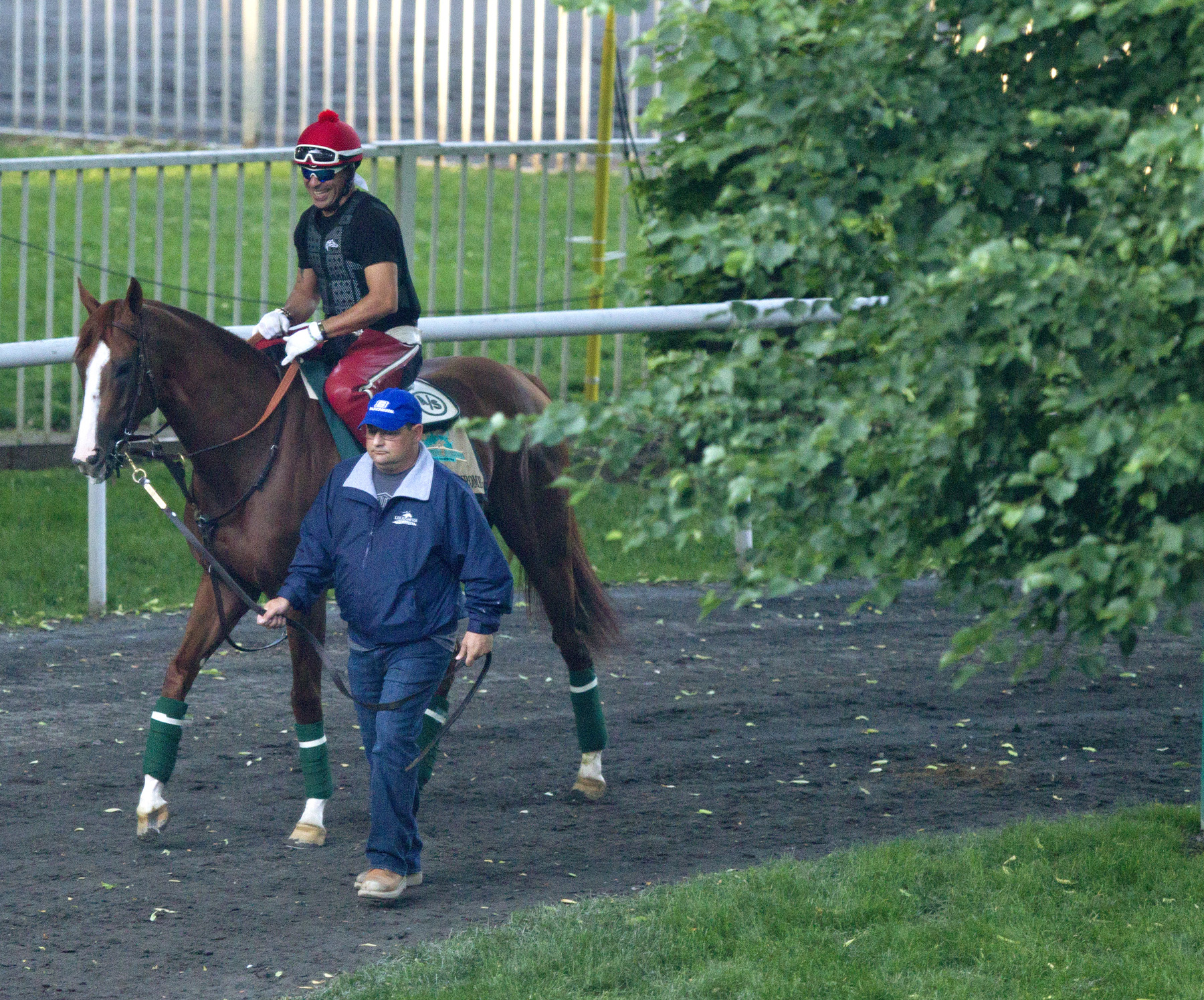 California Chrome walks 6-6