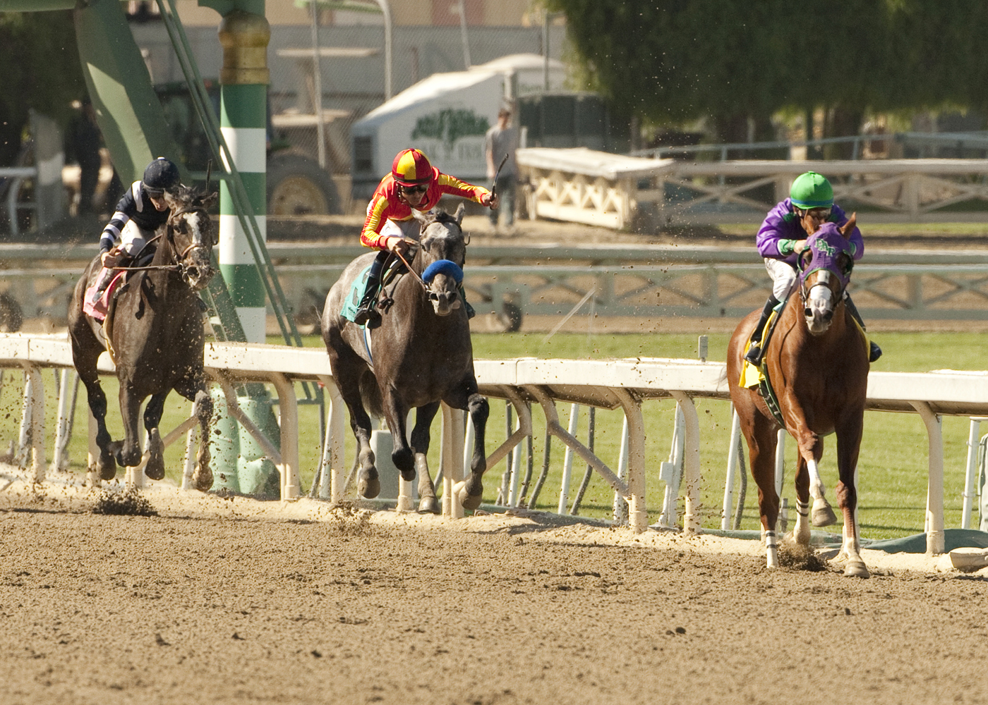 California Chrome wins the San Felipe