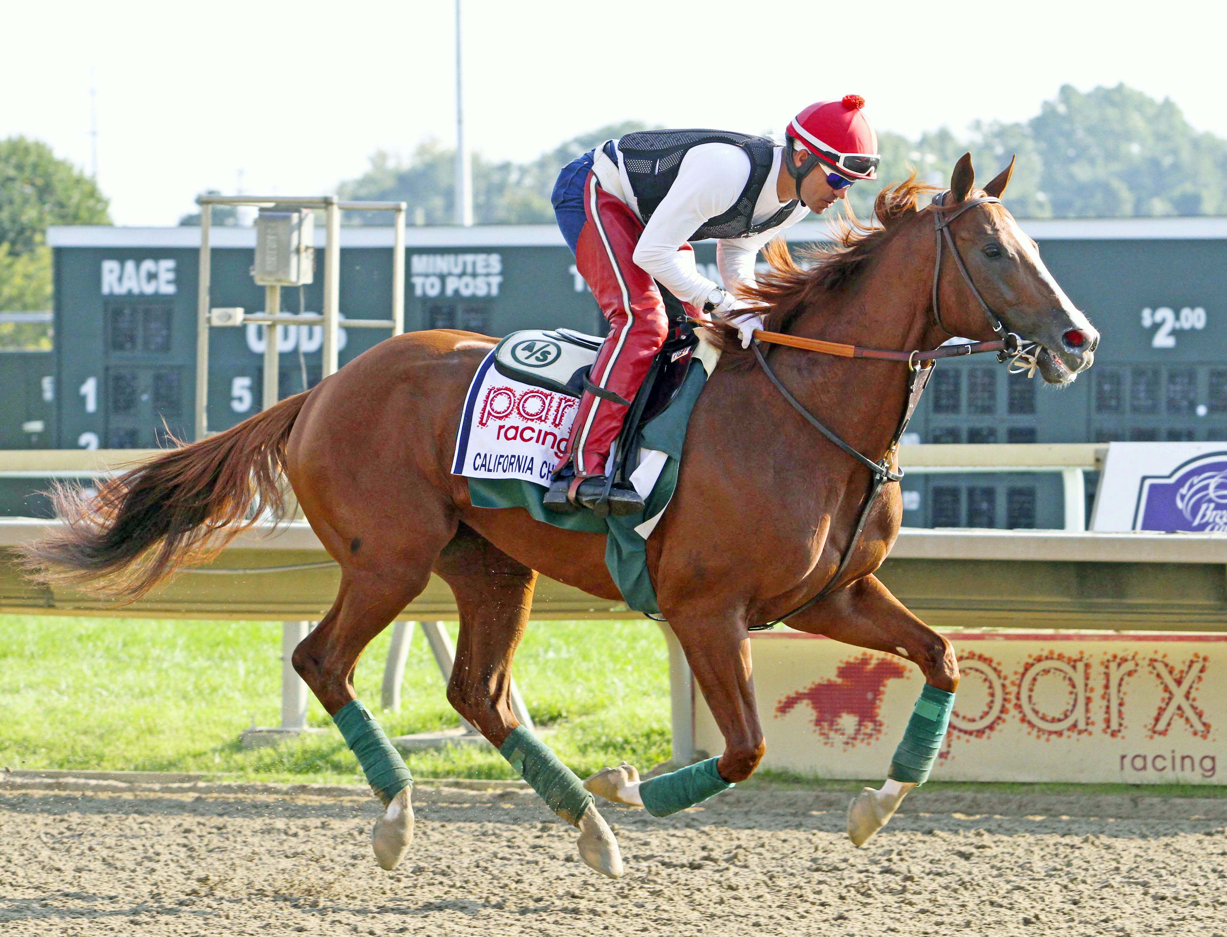 California Chrome at Parx Racing on Sept. 18