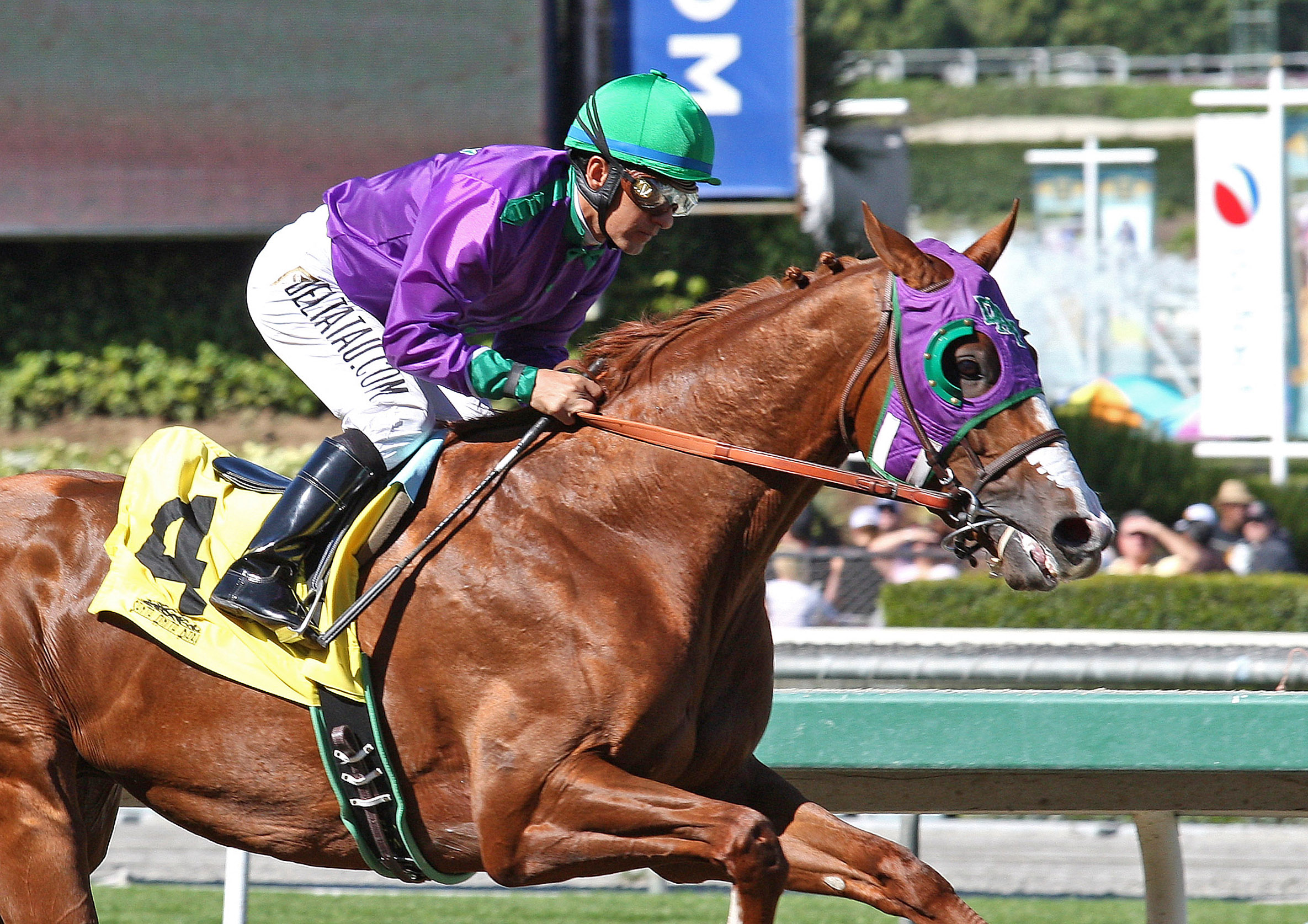 California Chrome wins the San Felipe