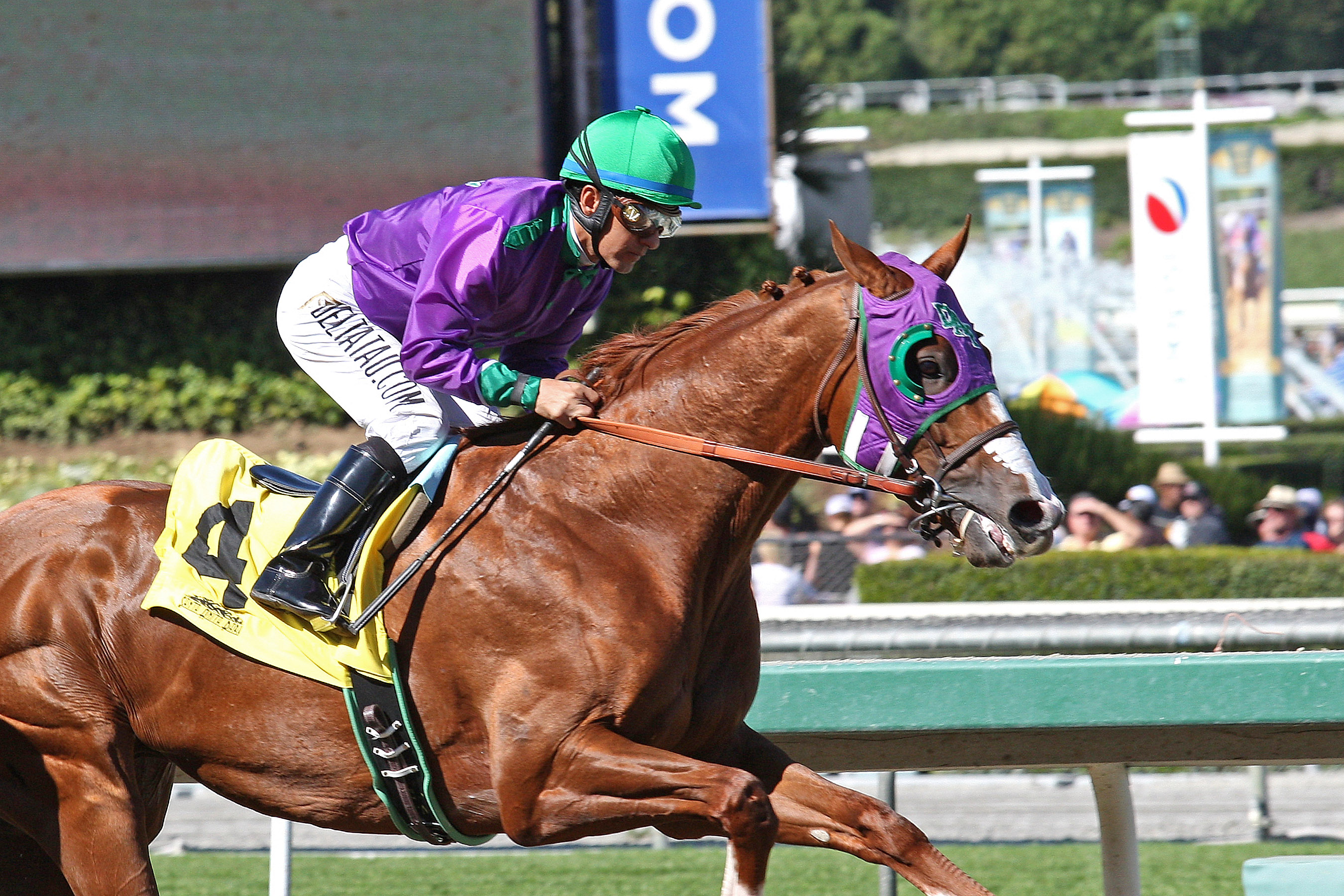 California Chrome San Felipe Stakes 3-8-14