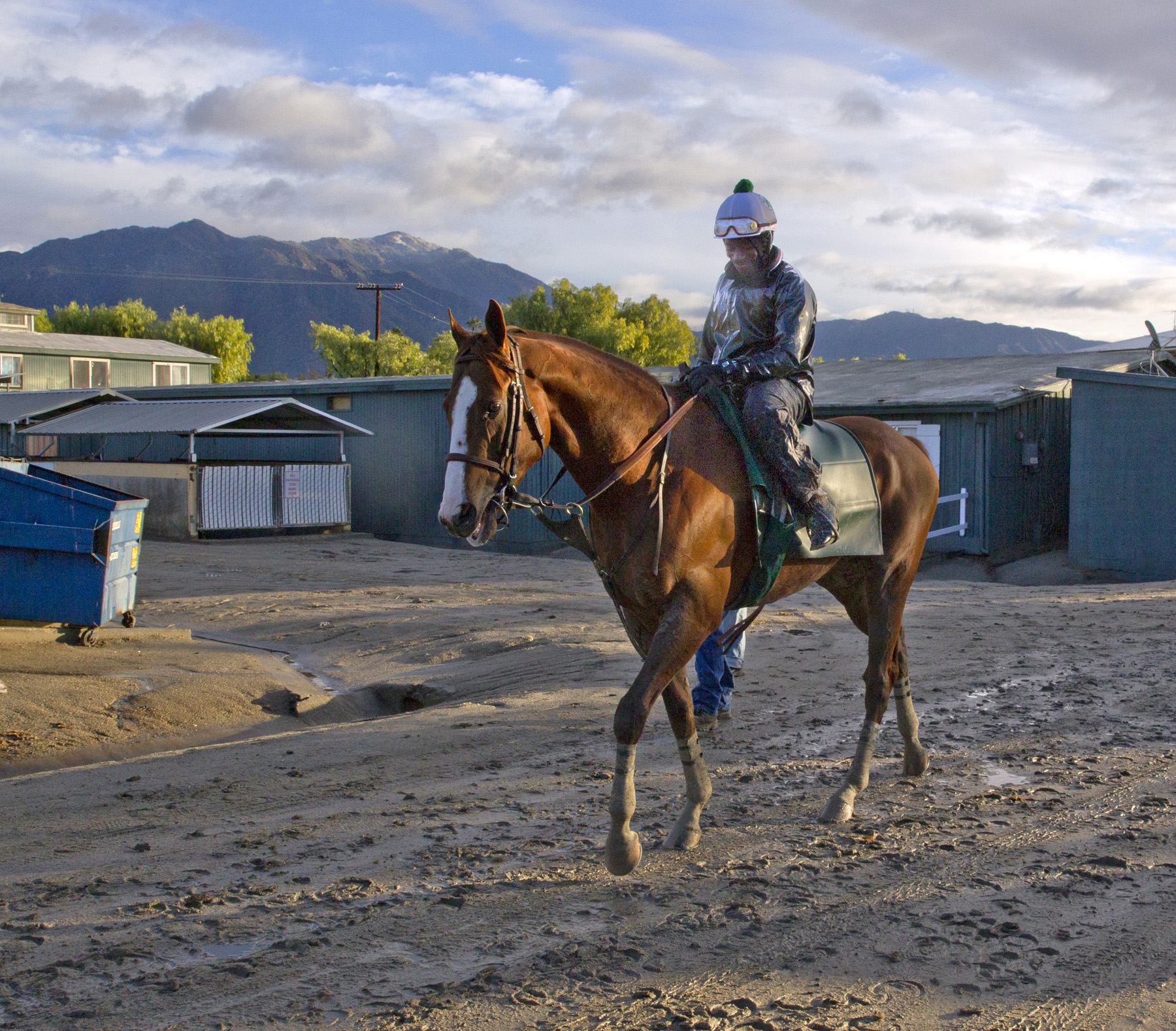 California Chrome at Santa Anita on Jan. 7