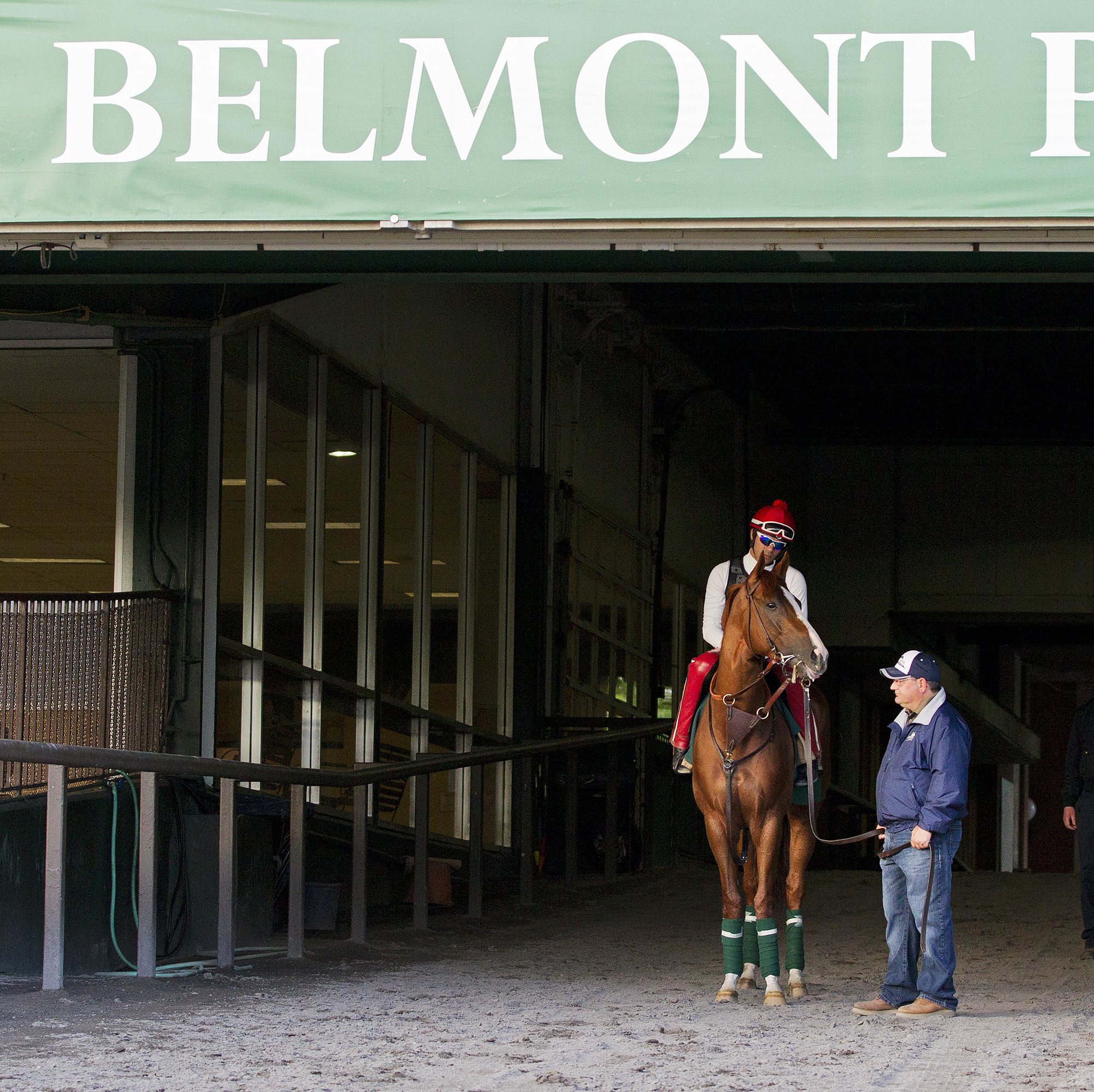 California Chrome with Alan Sherman at Belmont