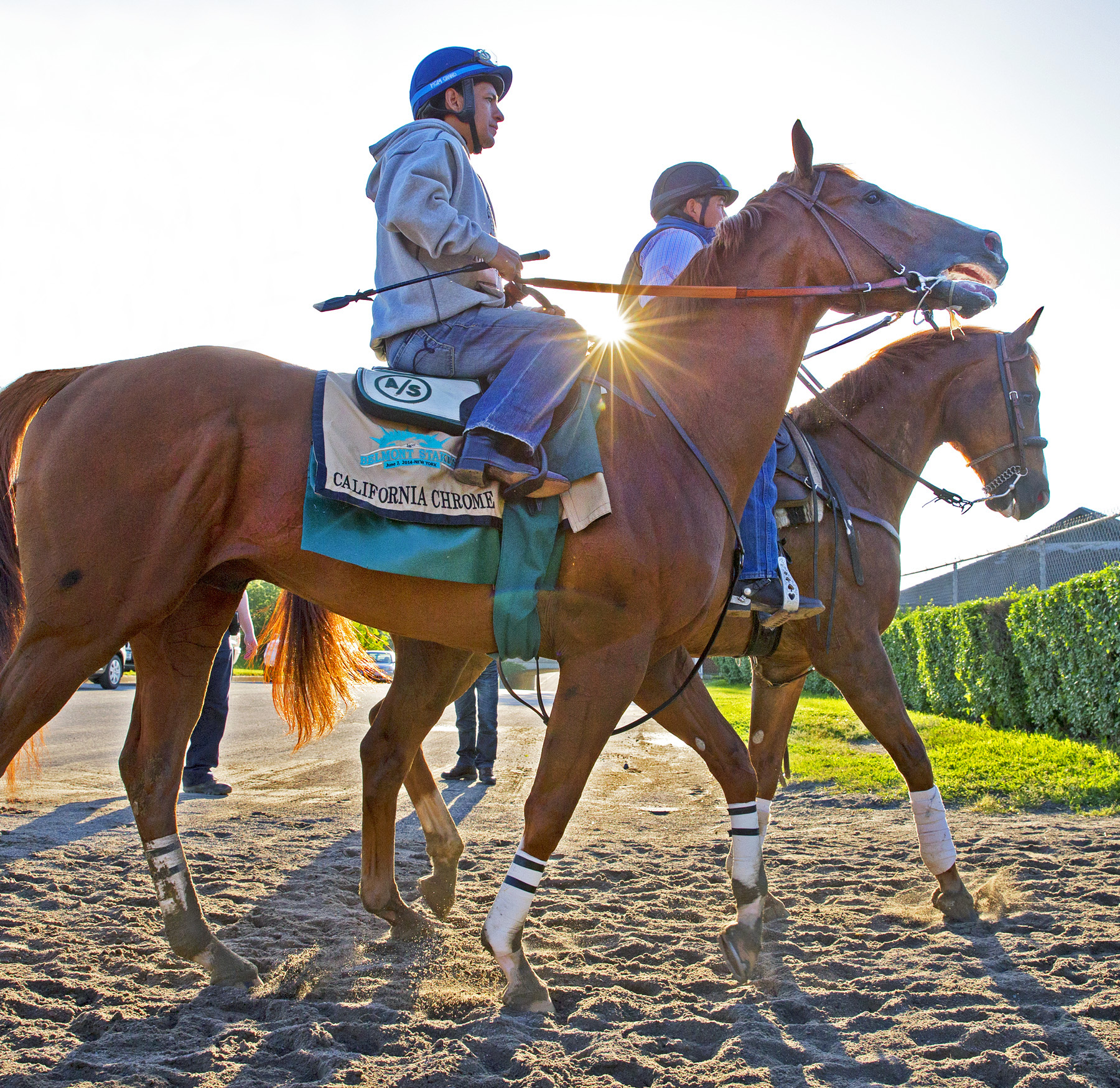 California Chrome