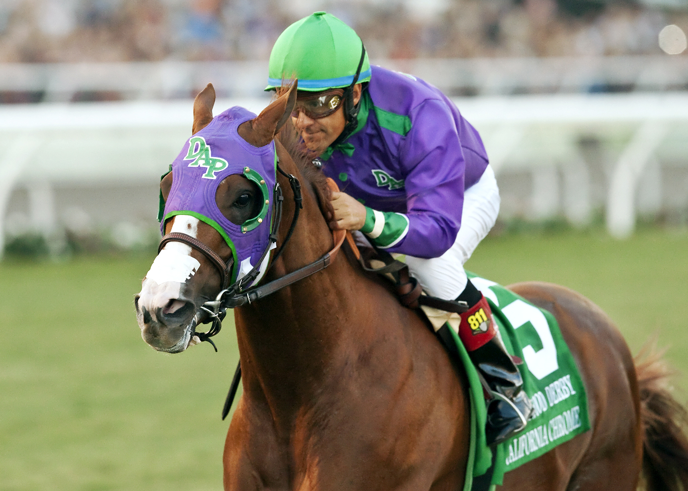 California Chrome wins the Hollywood Derby