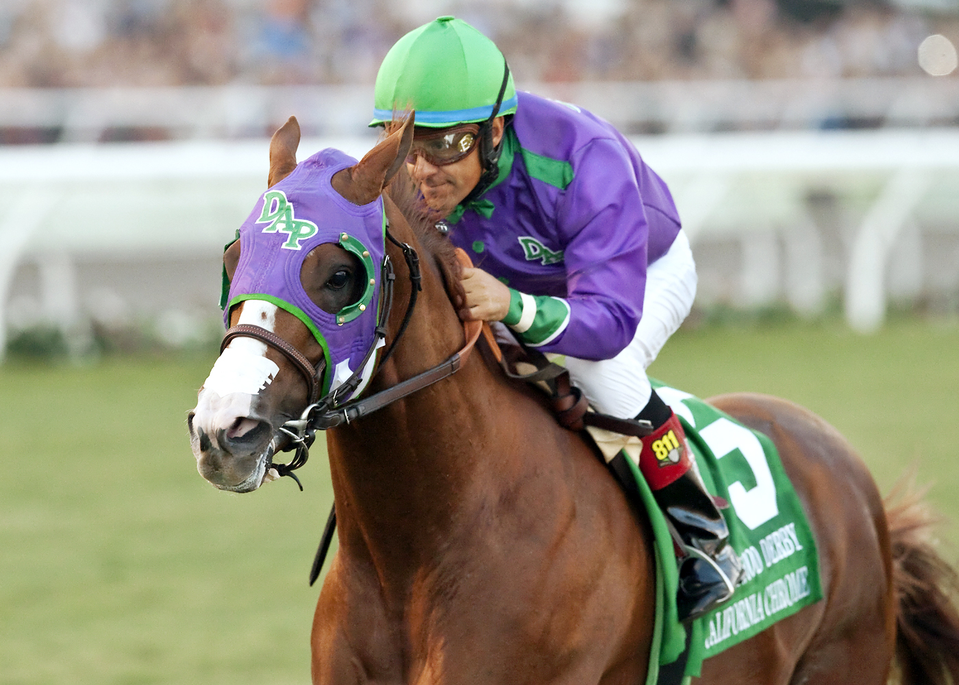 California Chrome wins the Hollywood Derby