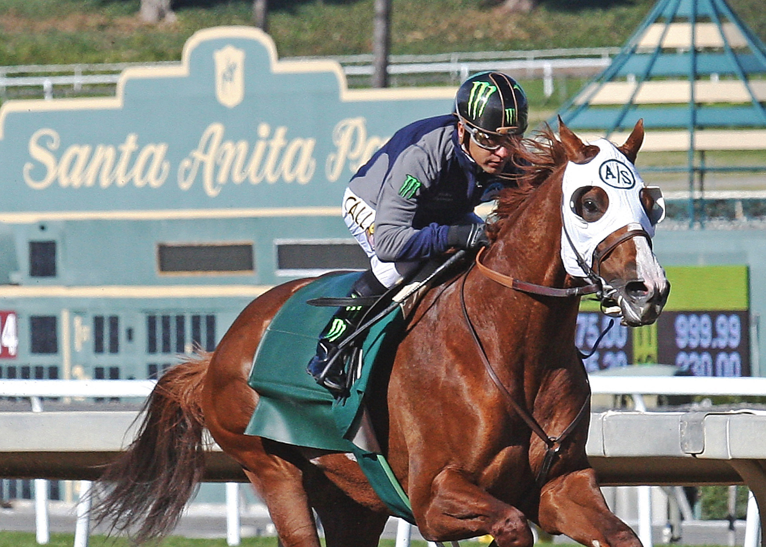 California Chrome works at Santa Anita Park