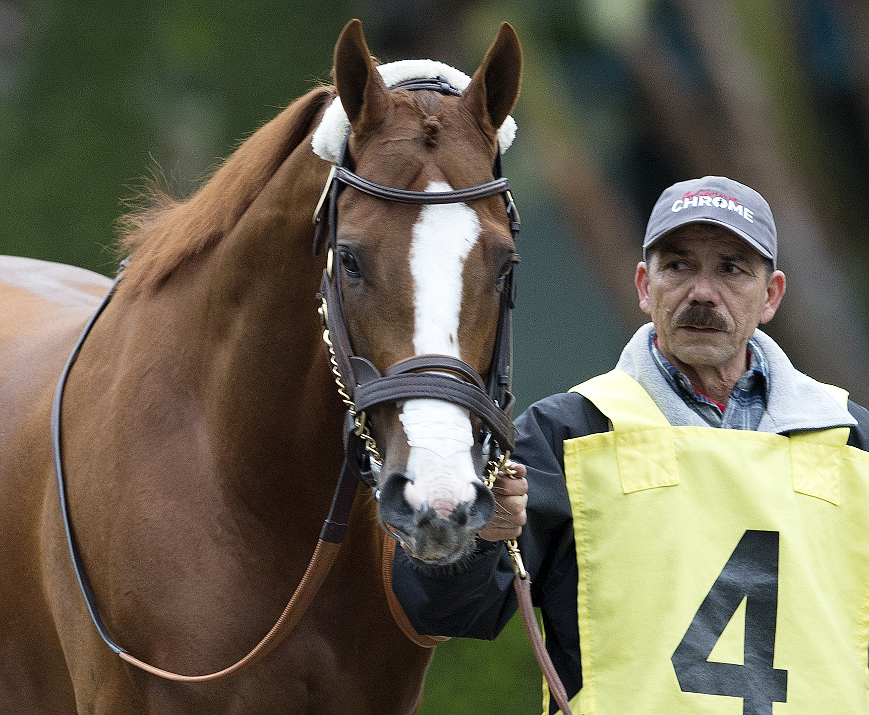 California Chrome