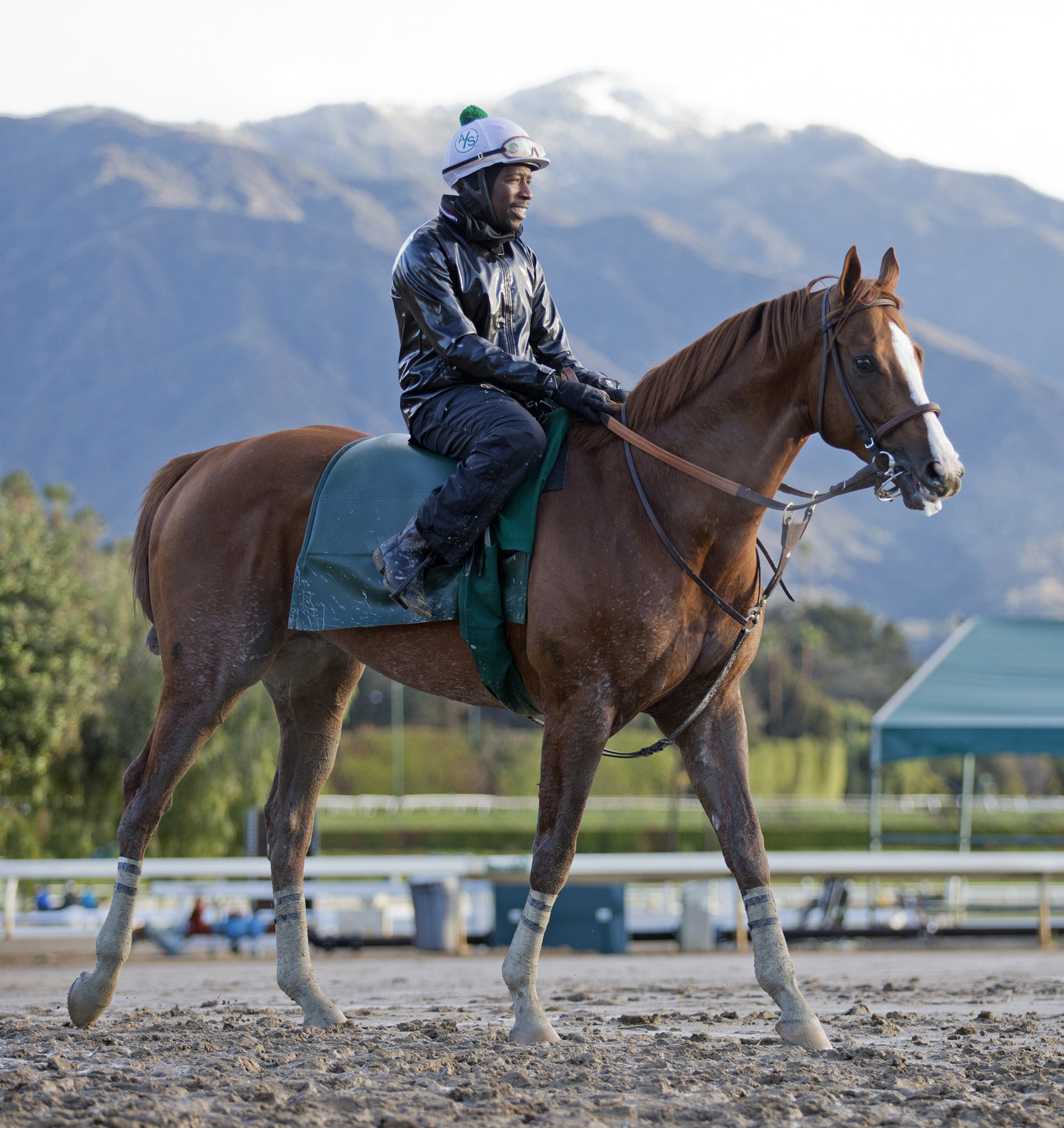 California Chrome at Santa Anita in January