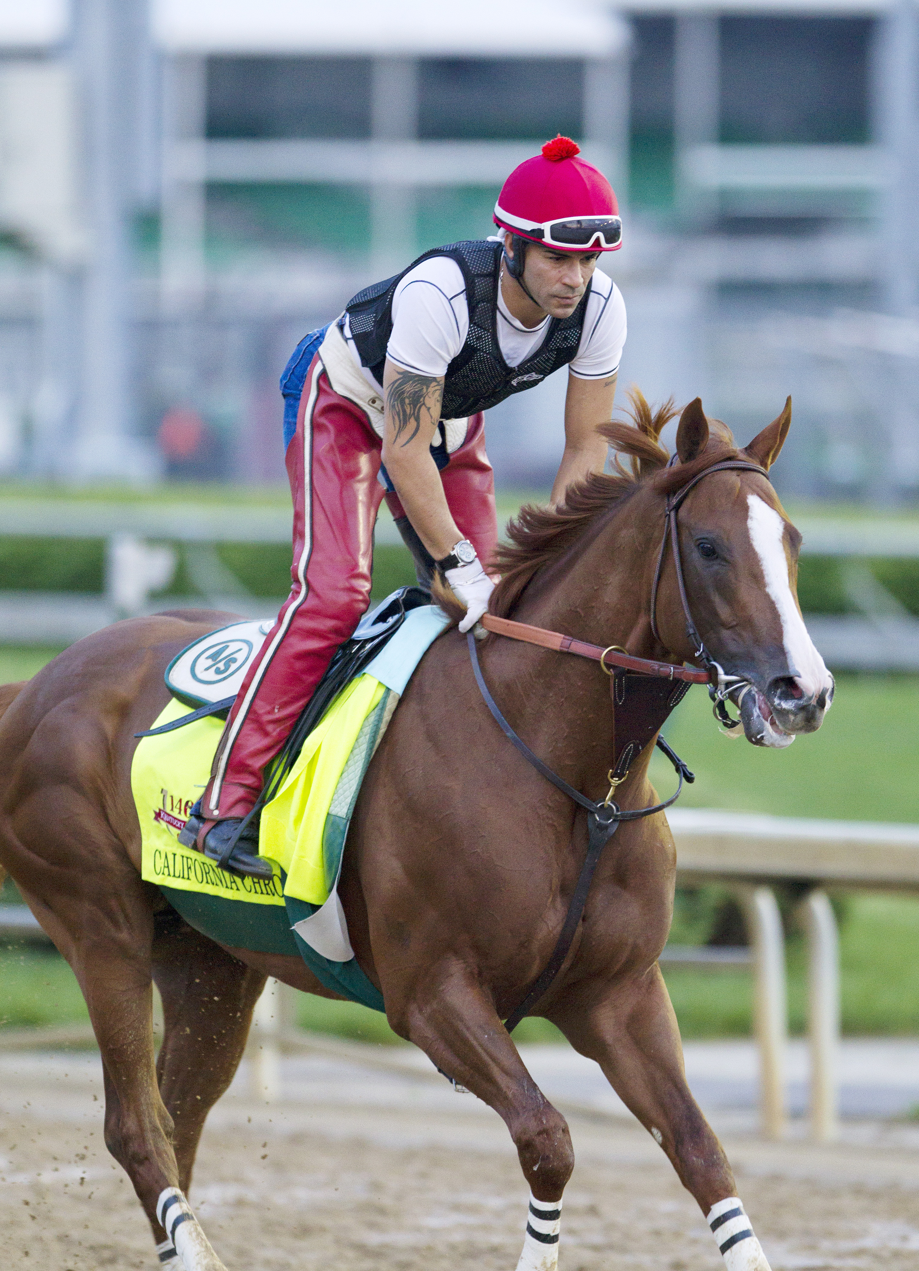 California Chrome gallops at Churchill April 30