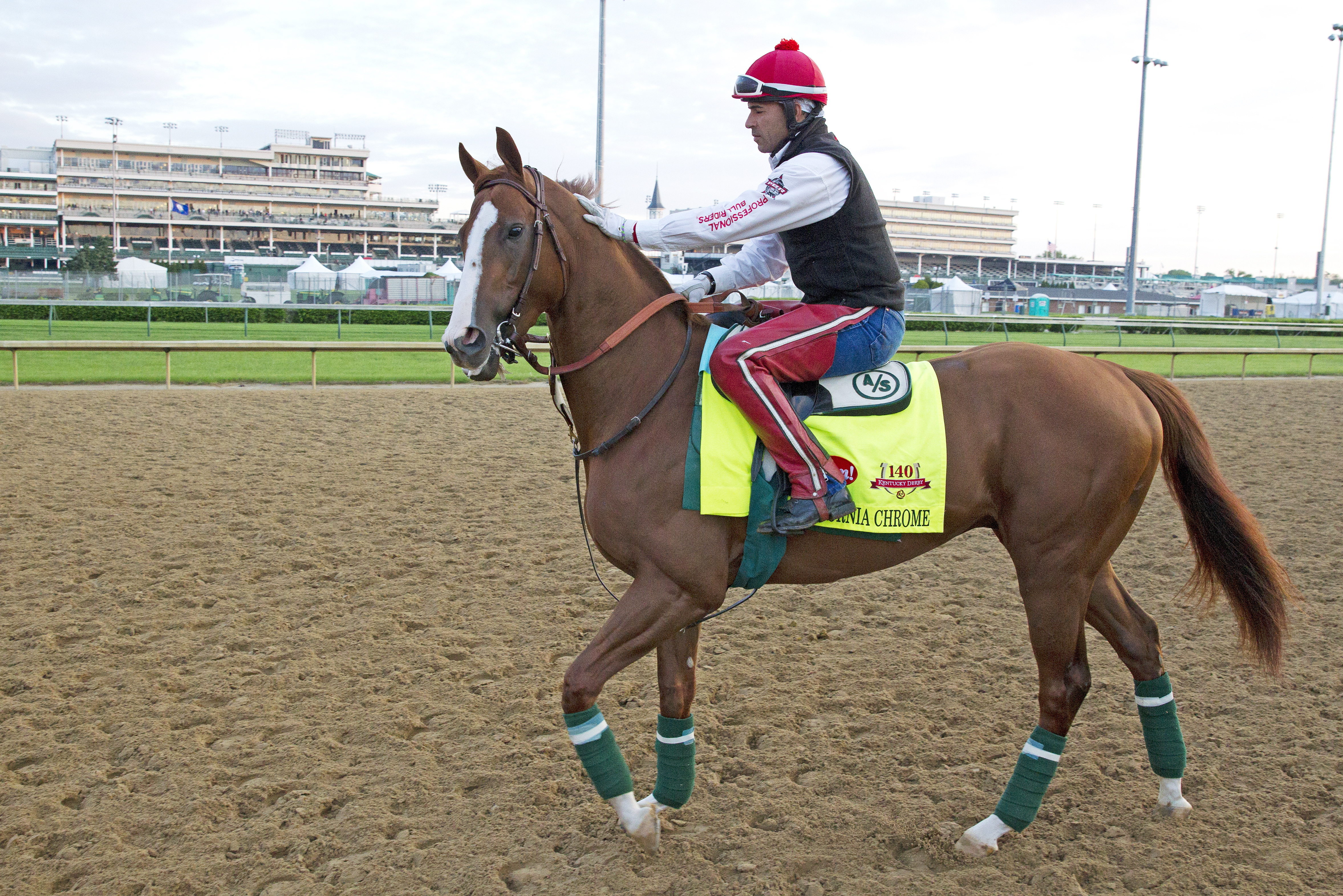 California Chrome at Churchill on May 1