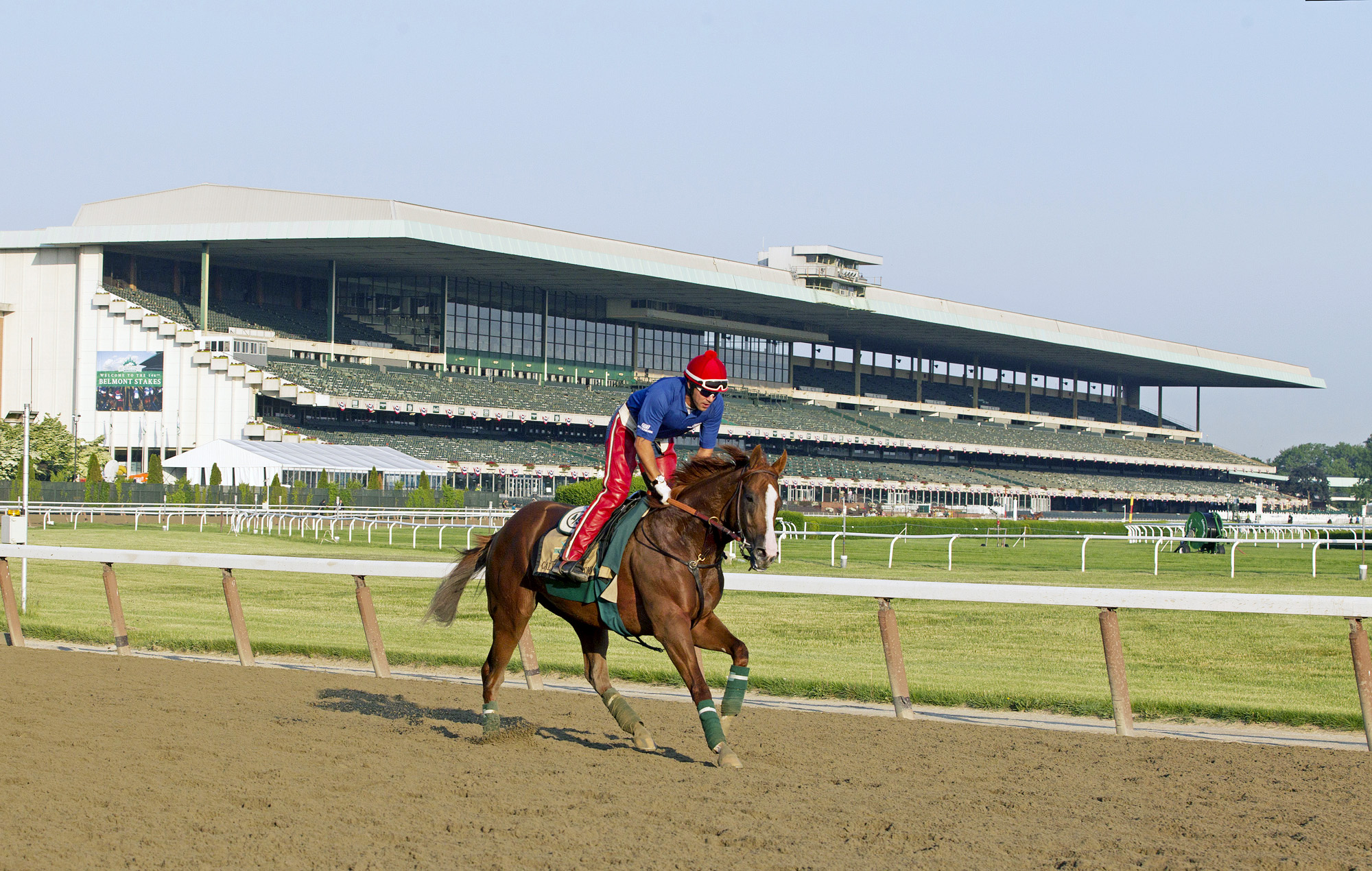 California Chrome training on June 3