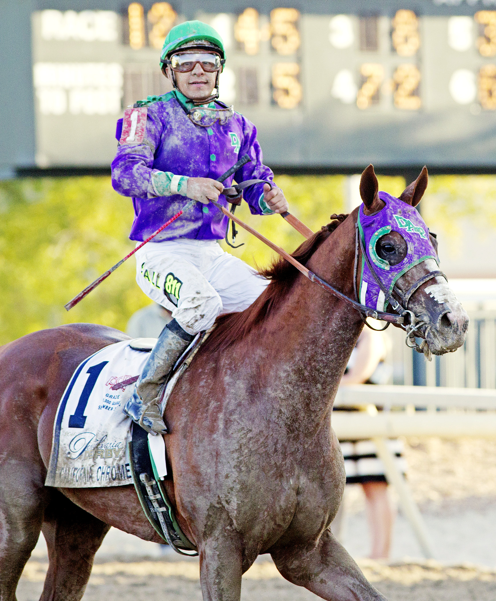 California Chrome after the Pennsylvania Derby