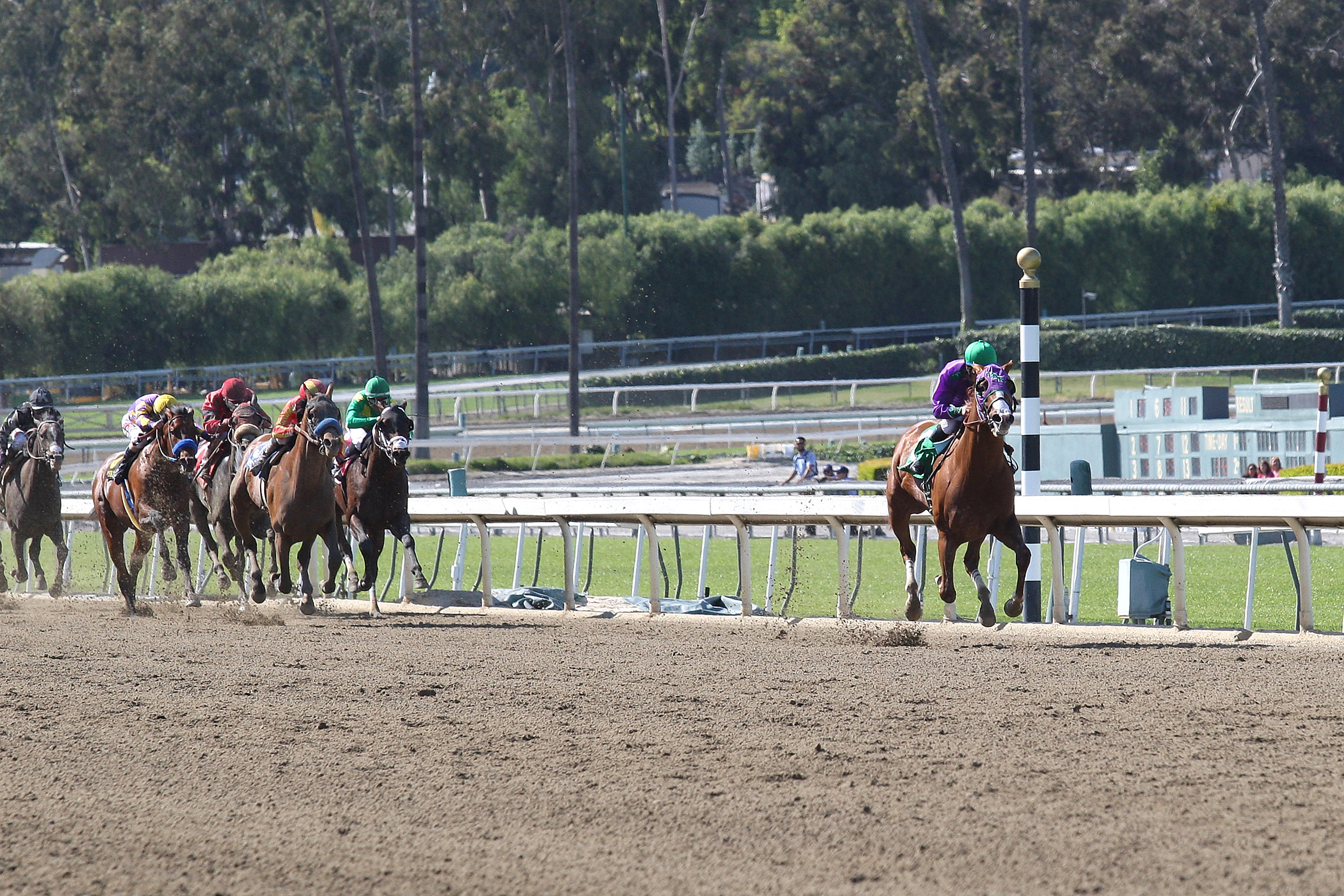 California Chrome 4-5-2014