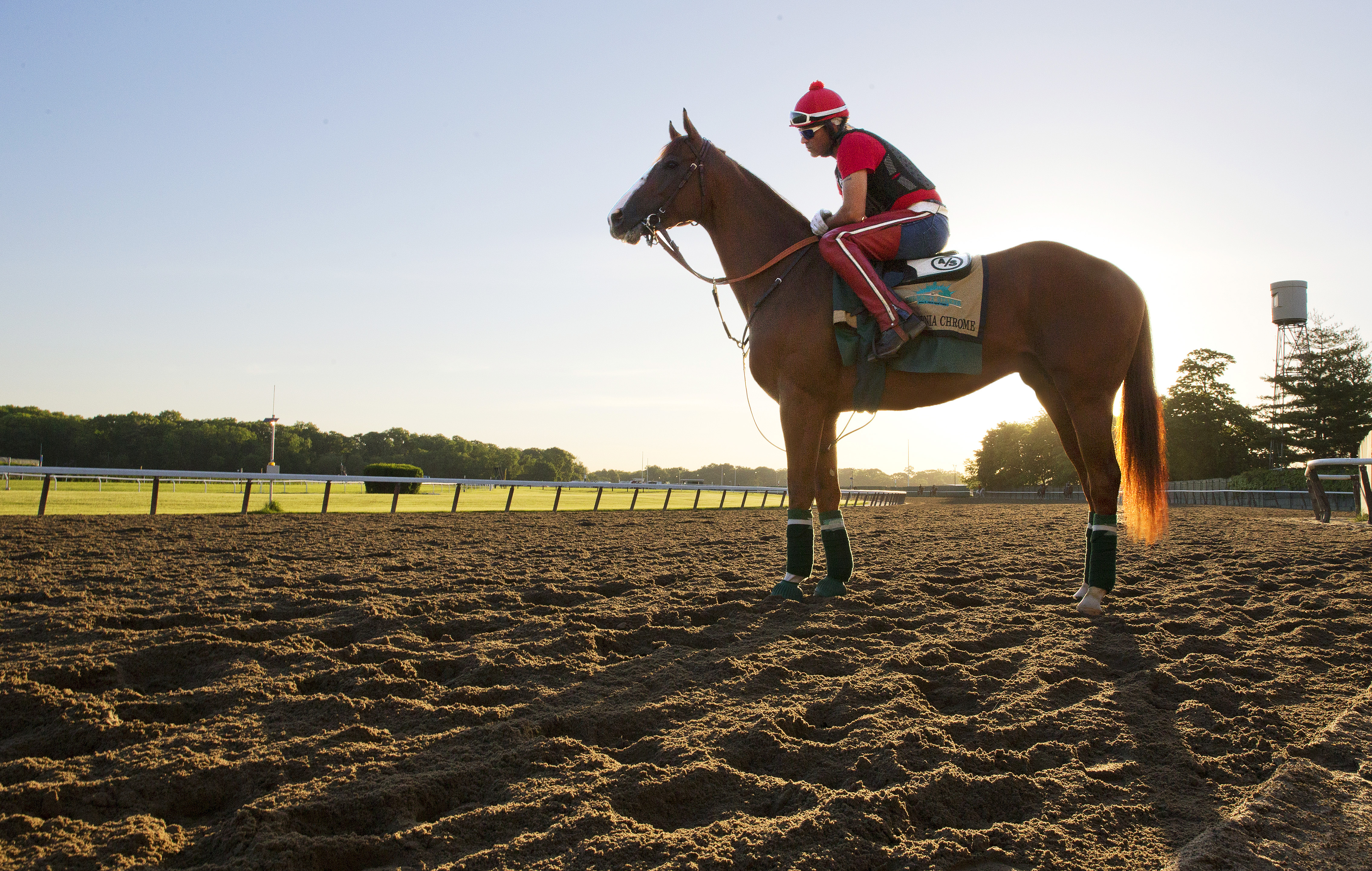 California Chrome on track June 2