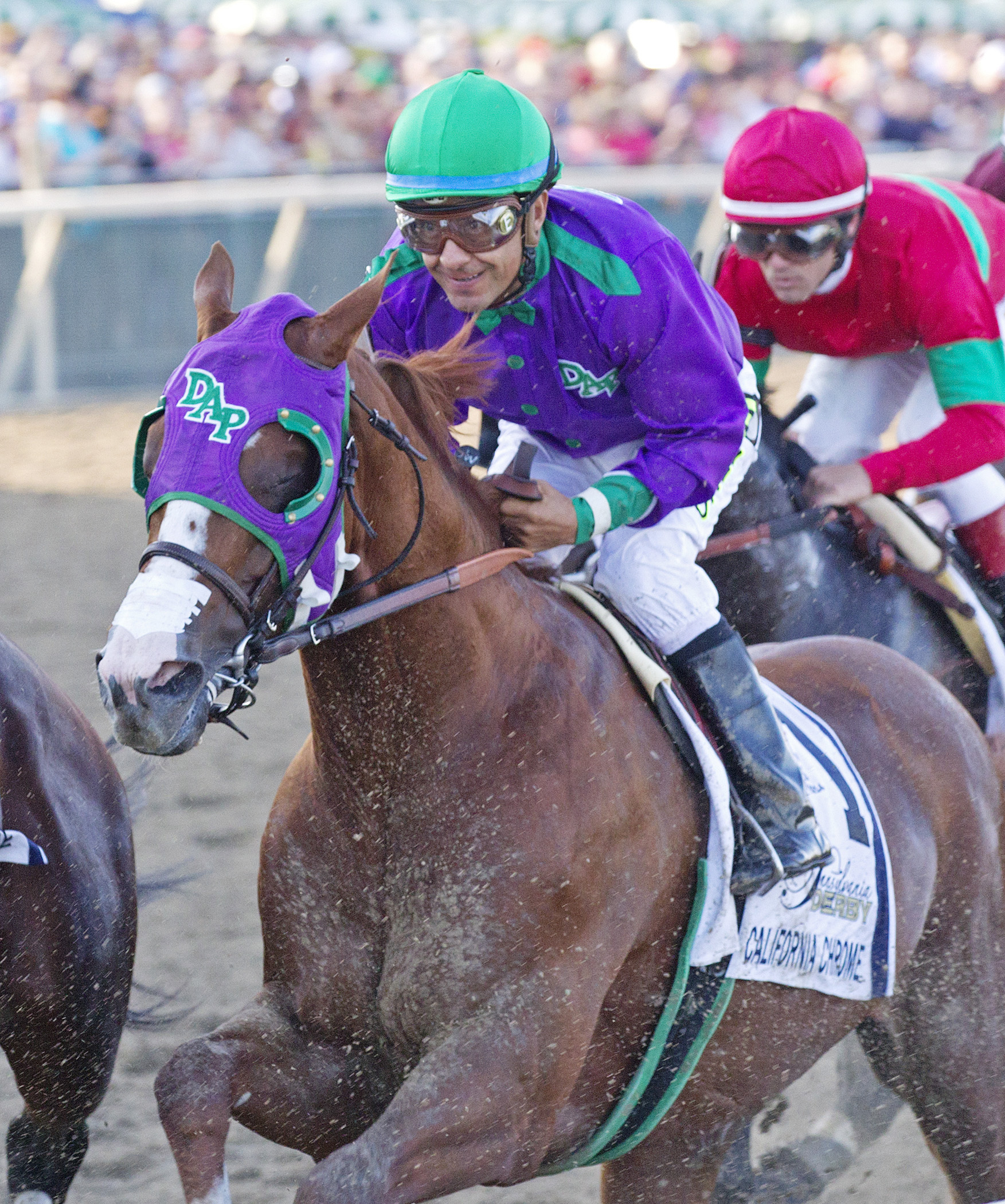 California Chrome
