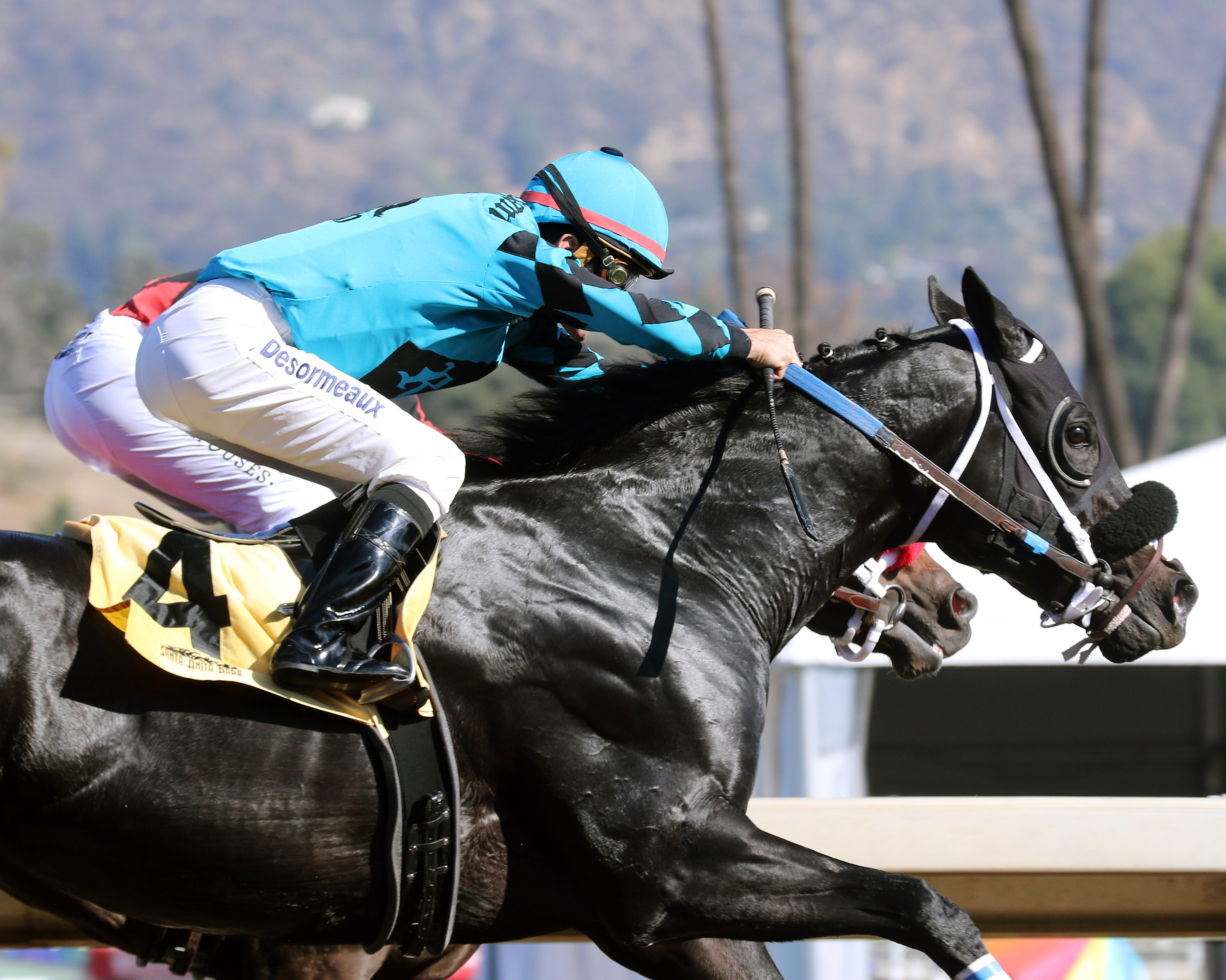 California Diamond wins the Golden State Juvenile