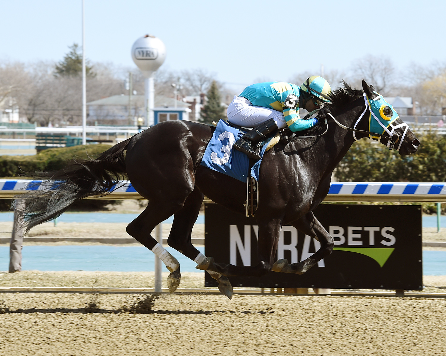 California Night wins a March 17 allowance at Aqueduct