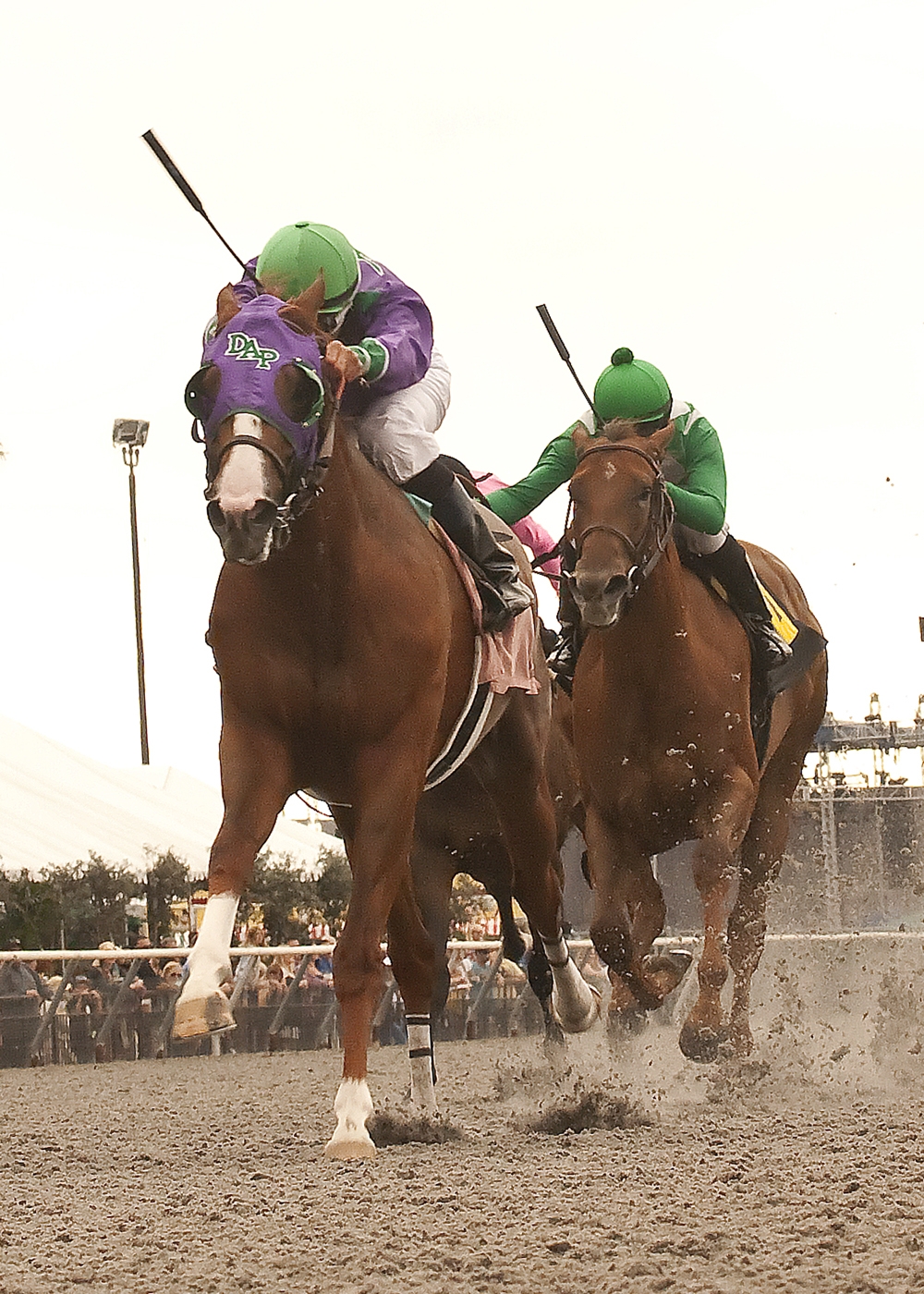 California chrome